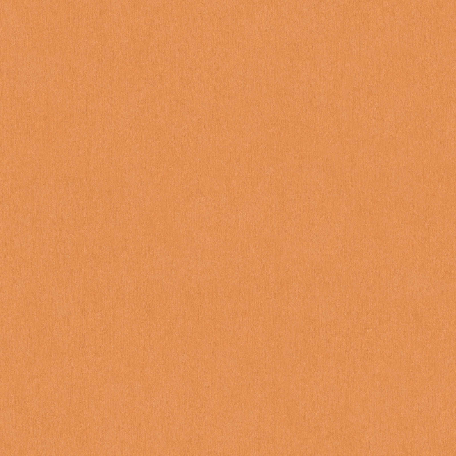 AS Vliestapete Little Love Unitapete 383266