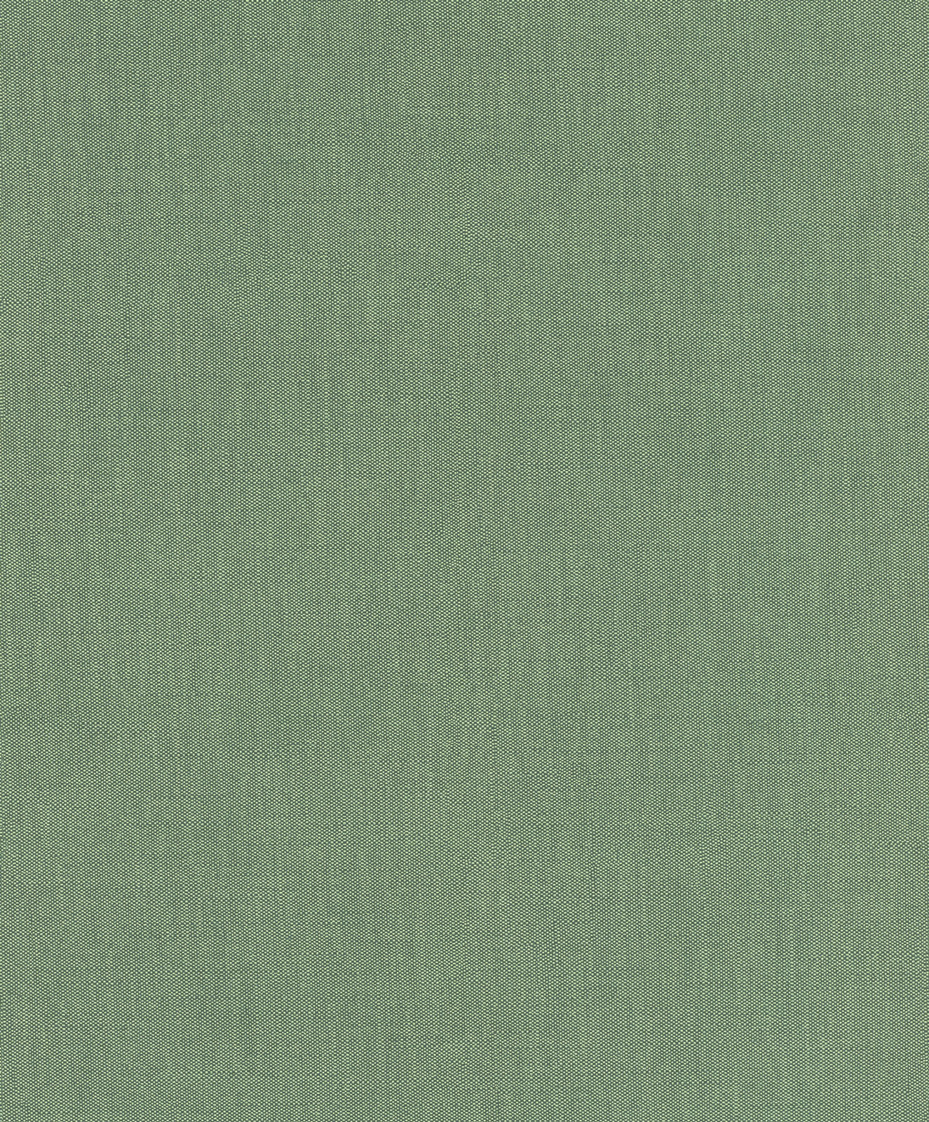 Rasch Vliestapete Color Your Life Unitapete 633191 Rasch Vliestapete Color Your Life Unitapete 633191