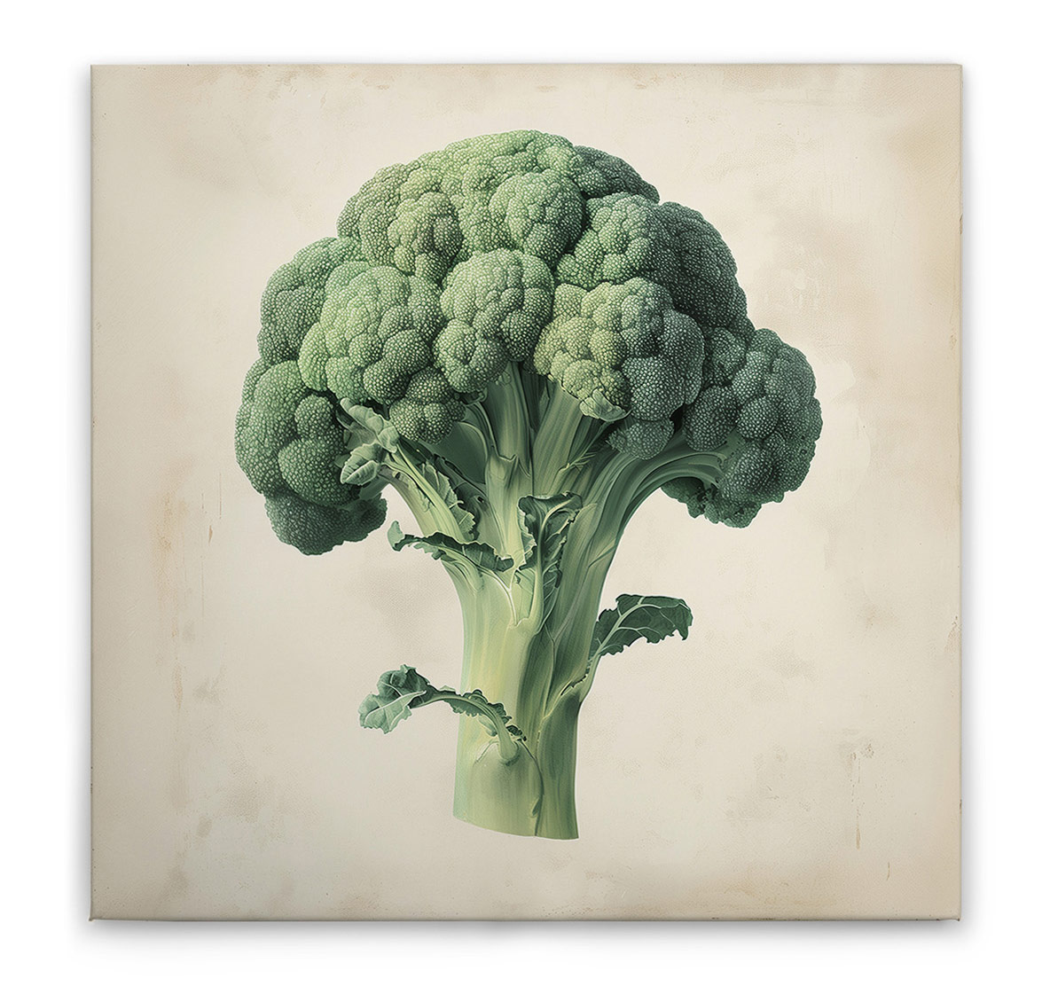 AS Leinwandbild Brokkoli DD132935