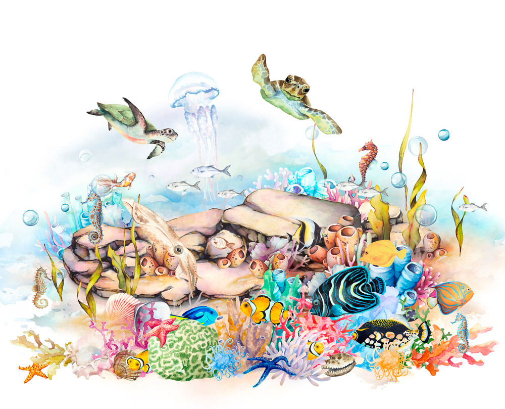 Rasch Fototapete Kids World Schildkröte Unterwasserwelt 3650