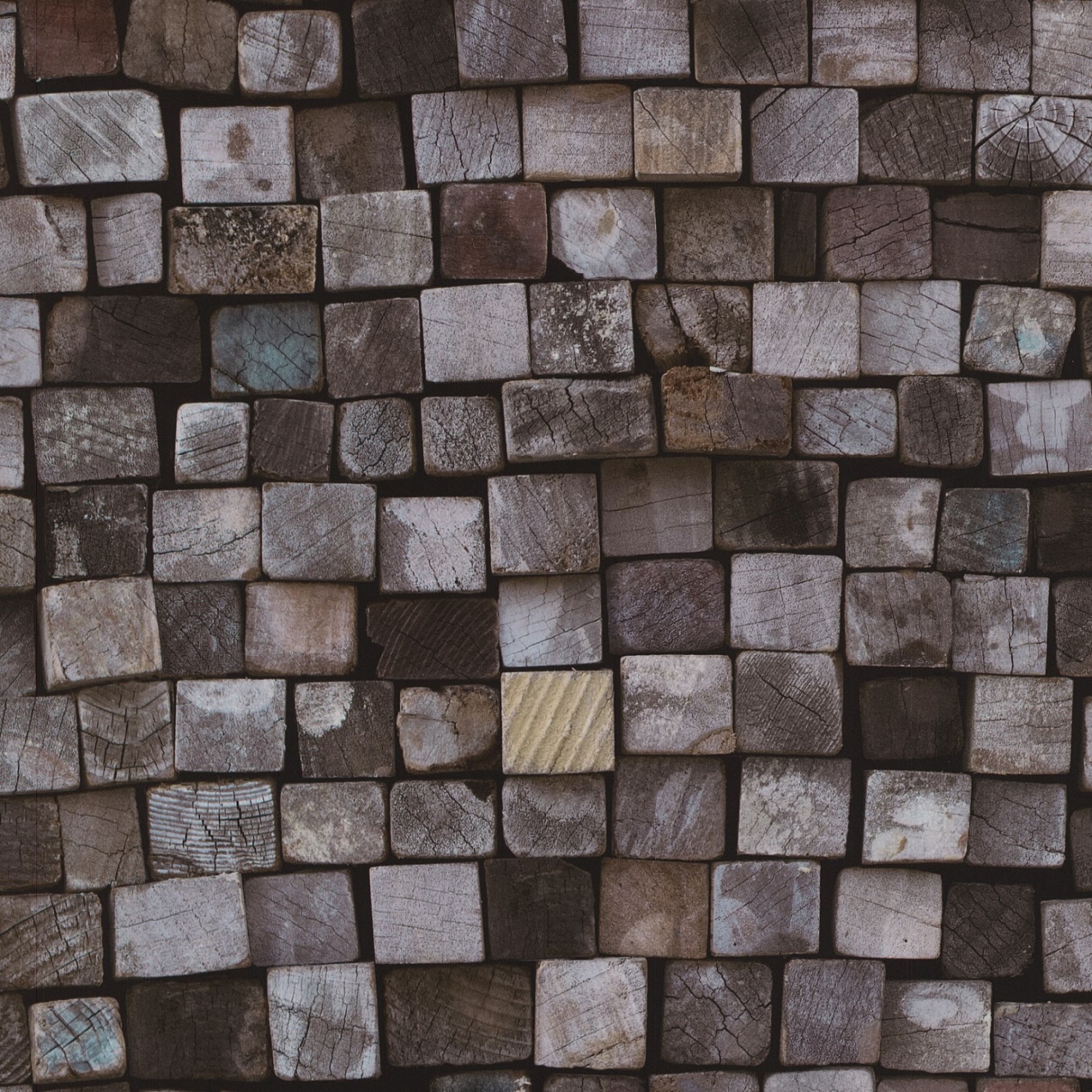 P+S Vliestapete Origin Holz Holzoptik 4210110