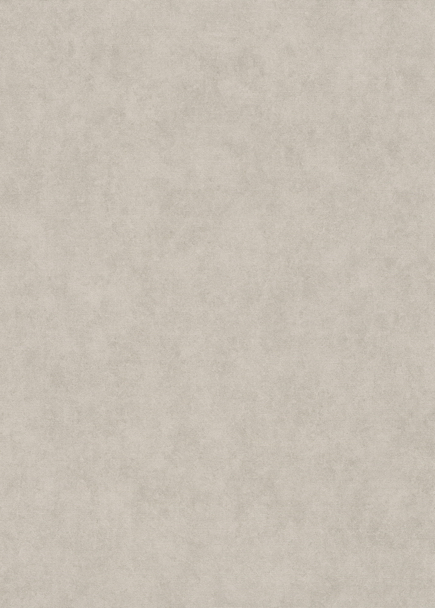 Erismann Vliestapete Elysium helltaupe 1047338