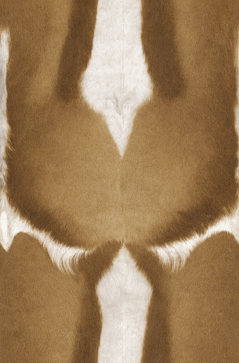 Rasch Vliestapete African Queen Fell 423013