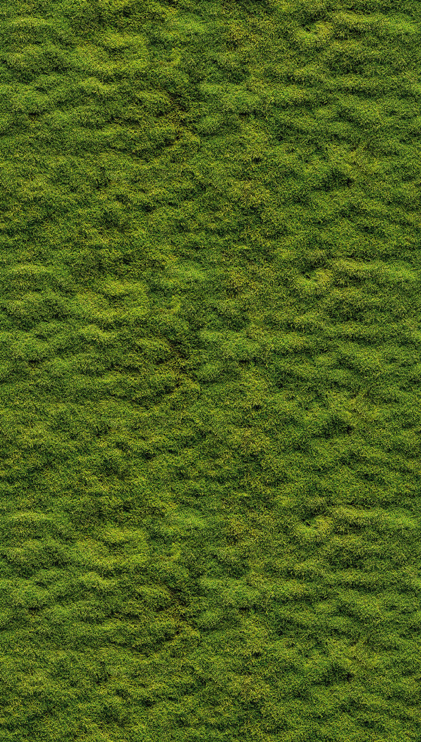 Livingwalls Vliestapete The Wall 3 Mooswand 398391 Livingwalls Vliestapete The Wall 3 Mooswand 398391