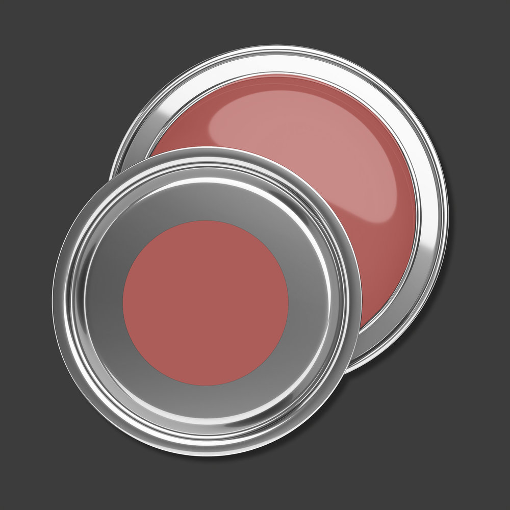 AS Premium Innenwandfarbe Puro c2019 varied red 1 L