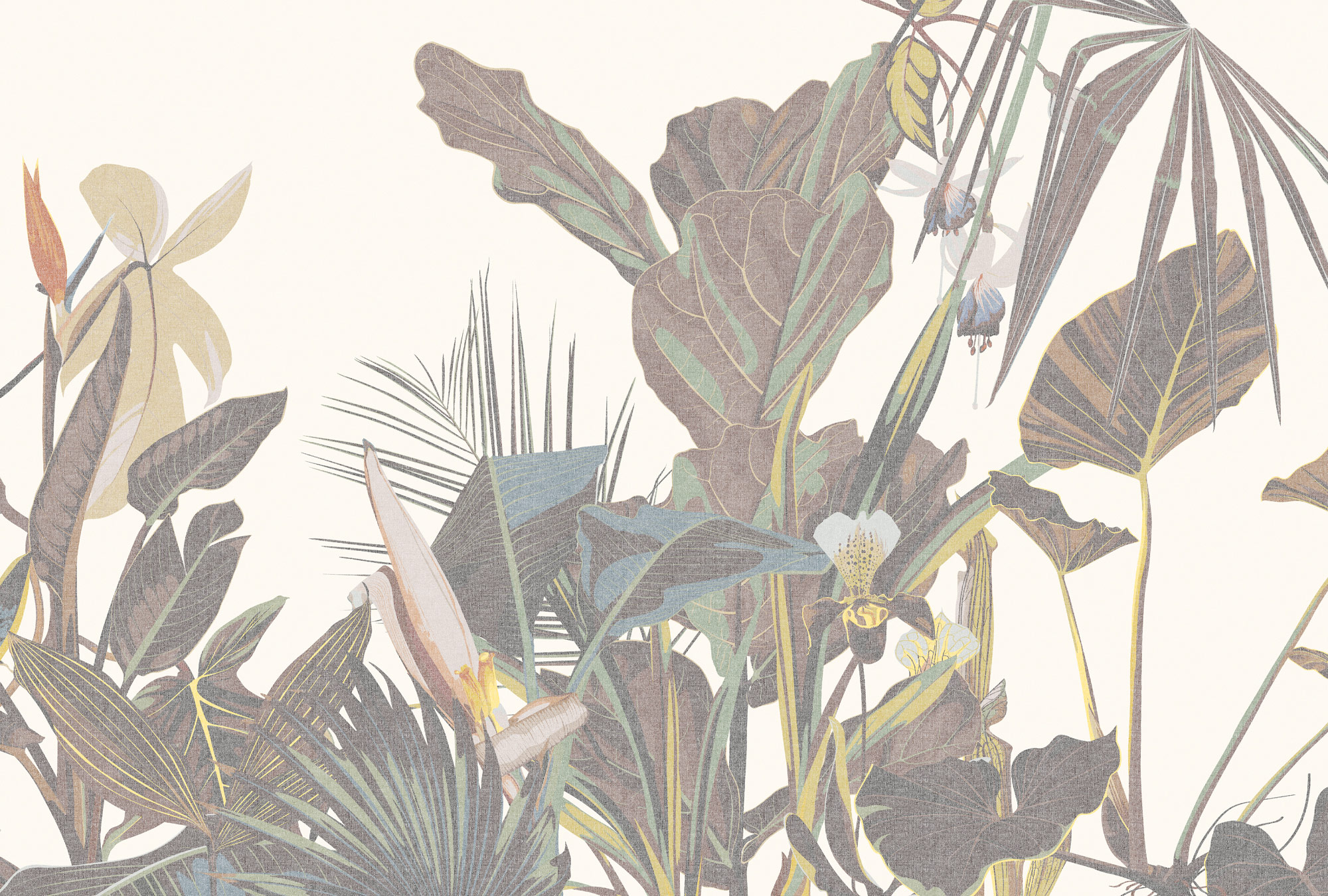 AS Fototapete Walls by Patel 5 Pflanzen Grün DD134639