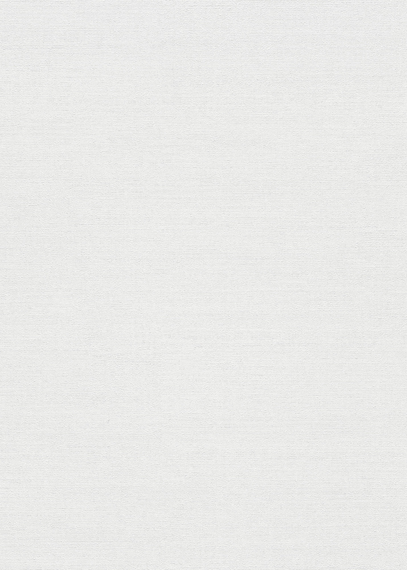 Erismann Vliestapete Forest Dreams weiß 1056301