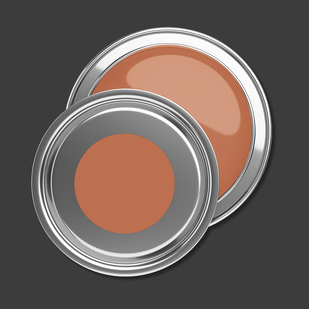 AS Premium Innenwandfarbe Puro c9005 dusty orange 1 L
