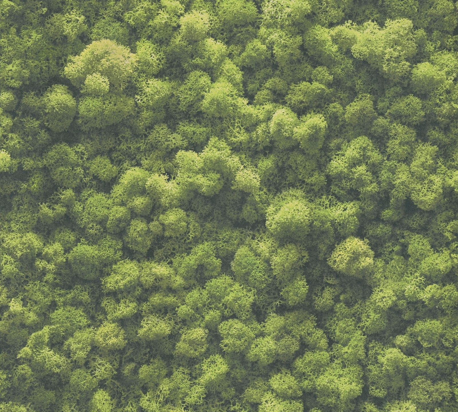 AS Vliestapete PintWalls II Mooswand Grün 394051 AS Vliestapete PintWalls II Mooswand Grün 394051