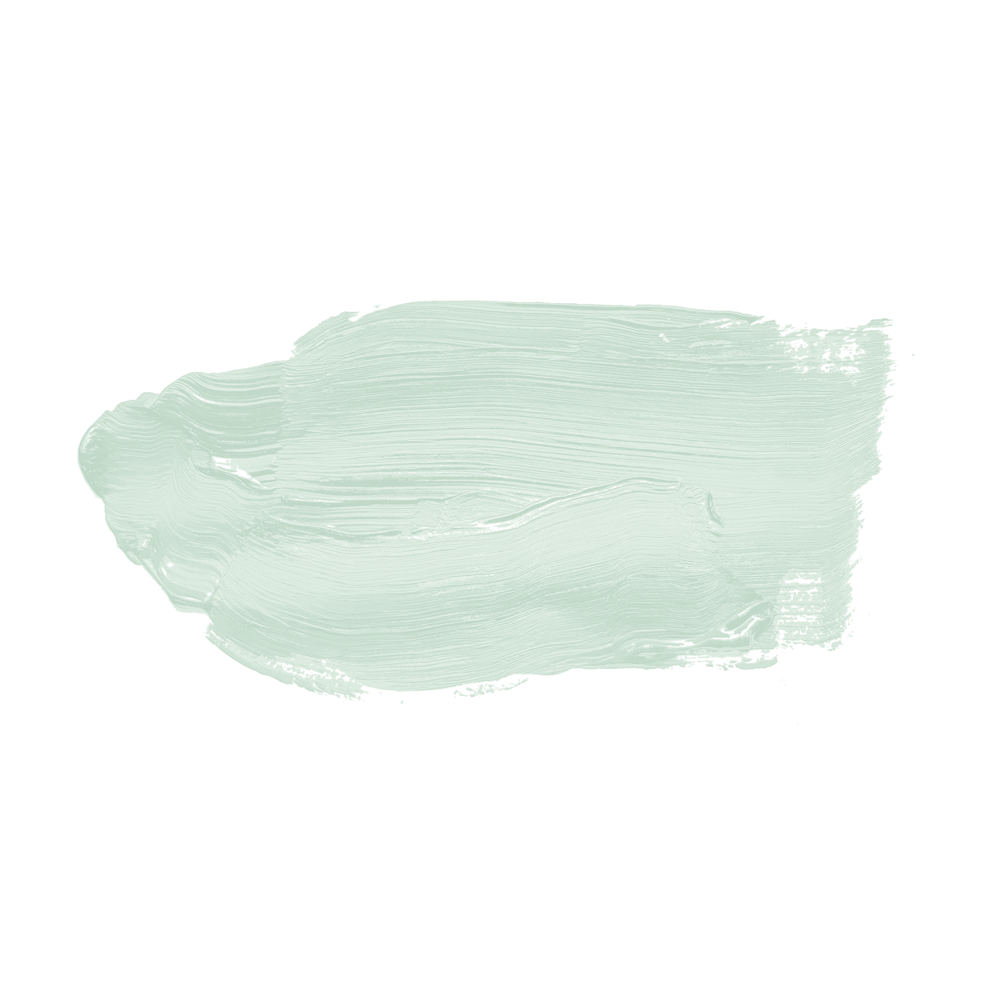 AS Wandfarbe The Color Kitchen TCK3000 Perky Peppermint 2,5