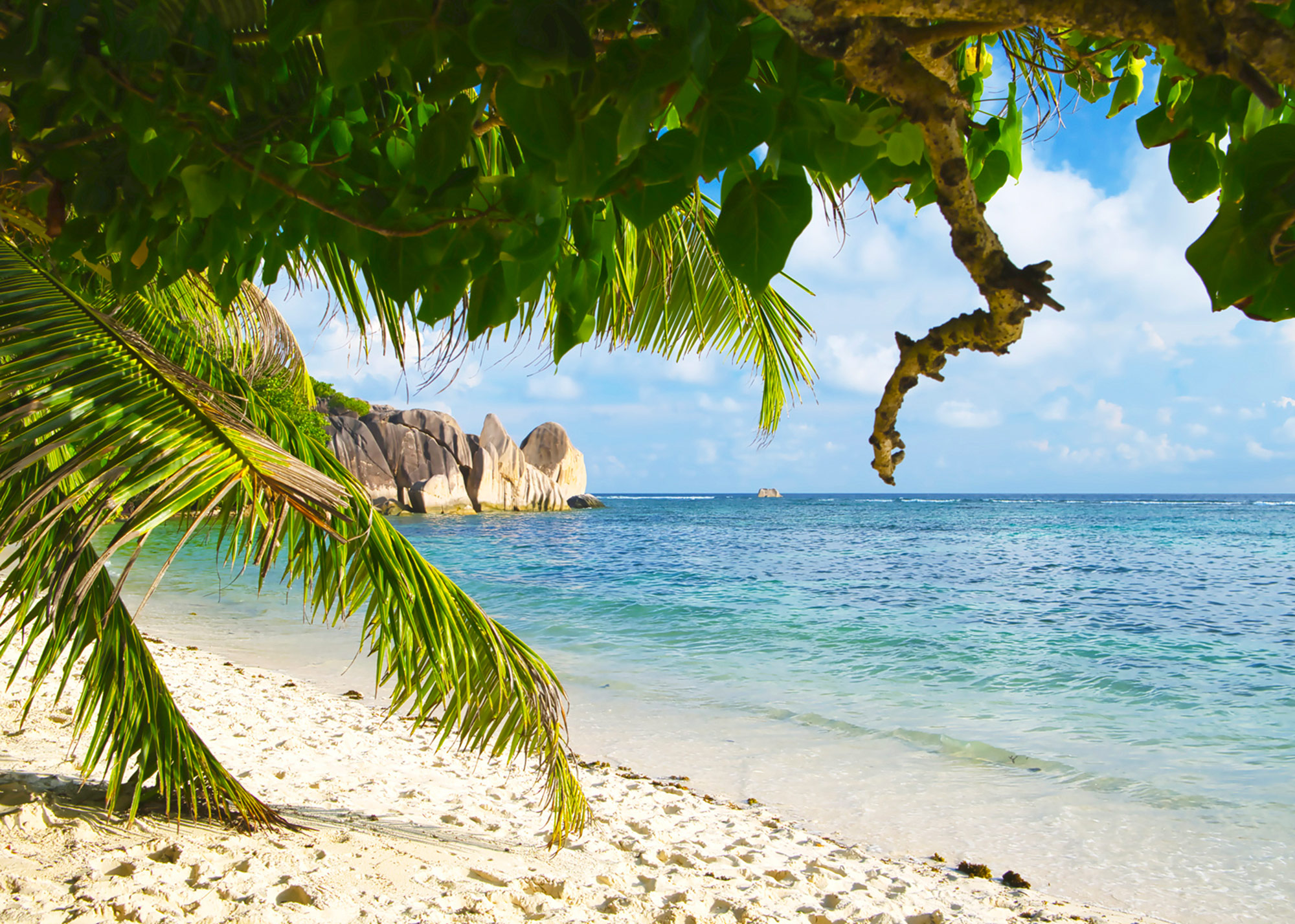 Rasch Fototapete Magic Walls Meer Palmen 364712