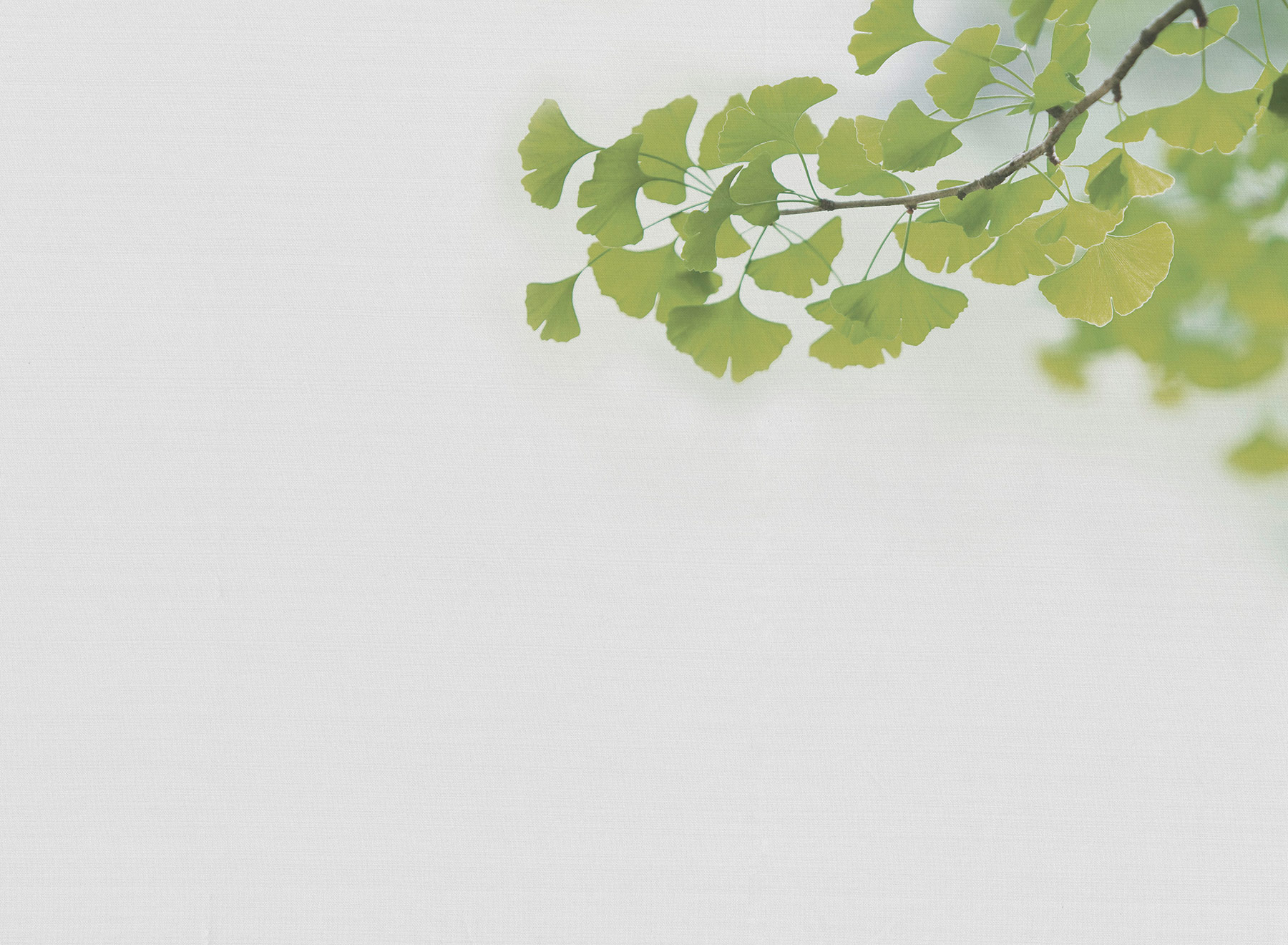 AS Fototapete Designwalls 2 Betonoptik Natur DD123468 AS Fototapete Designwalls 2 Betonoptik Natur DD123468