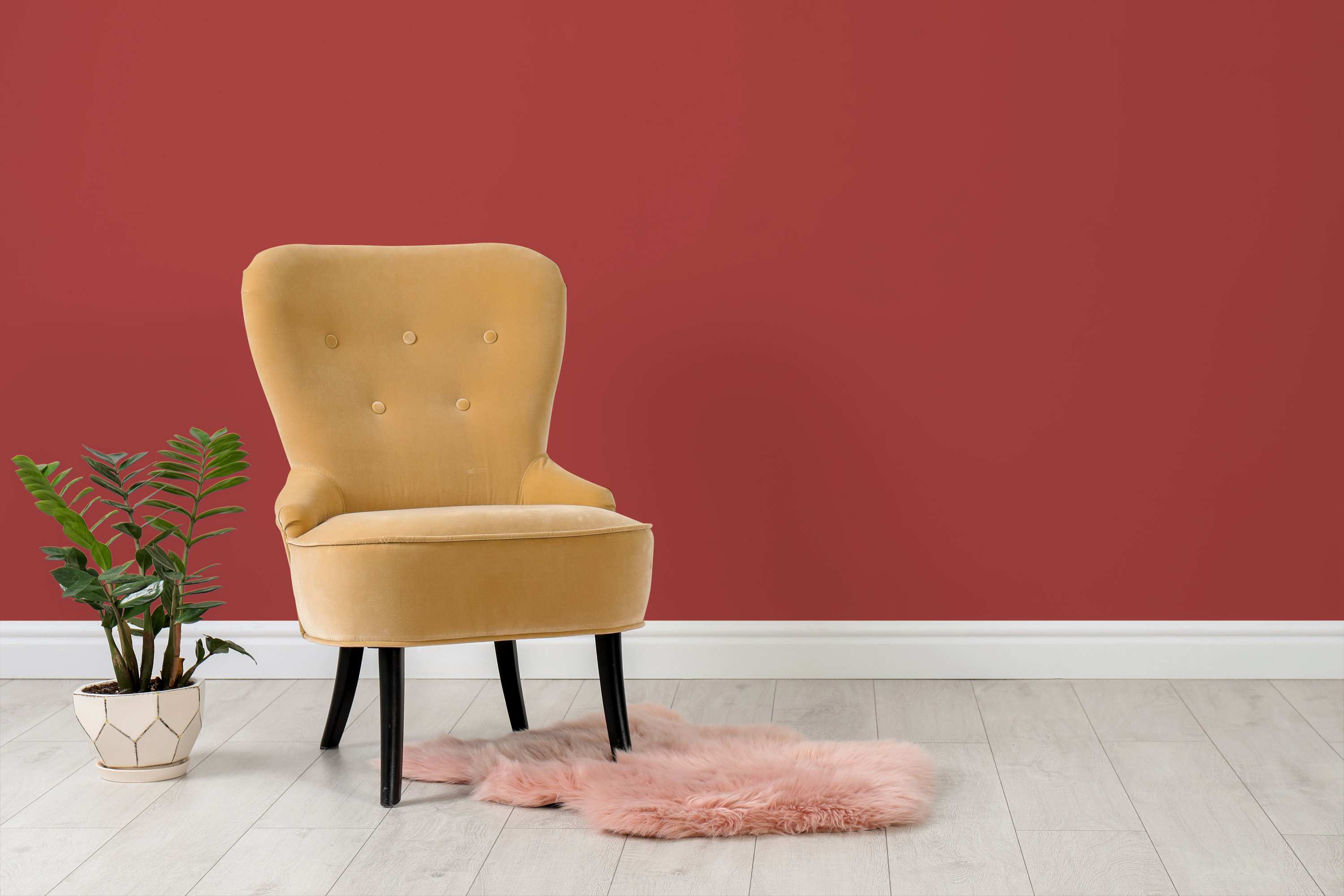 AS Wandfarbe The Color Kitchen TCK7005 Cheeky Chilli 2,5 L