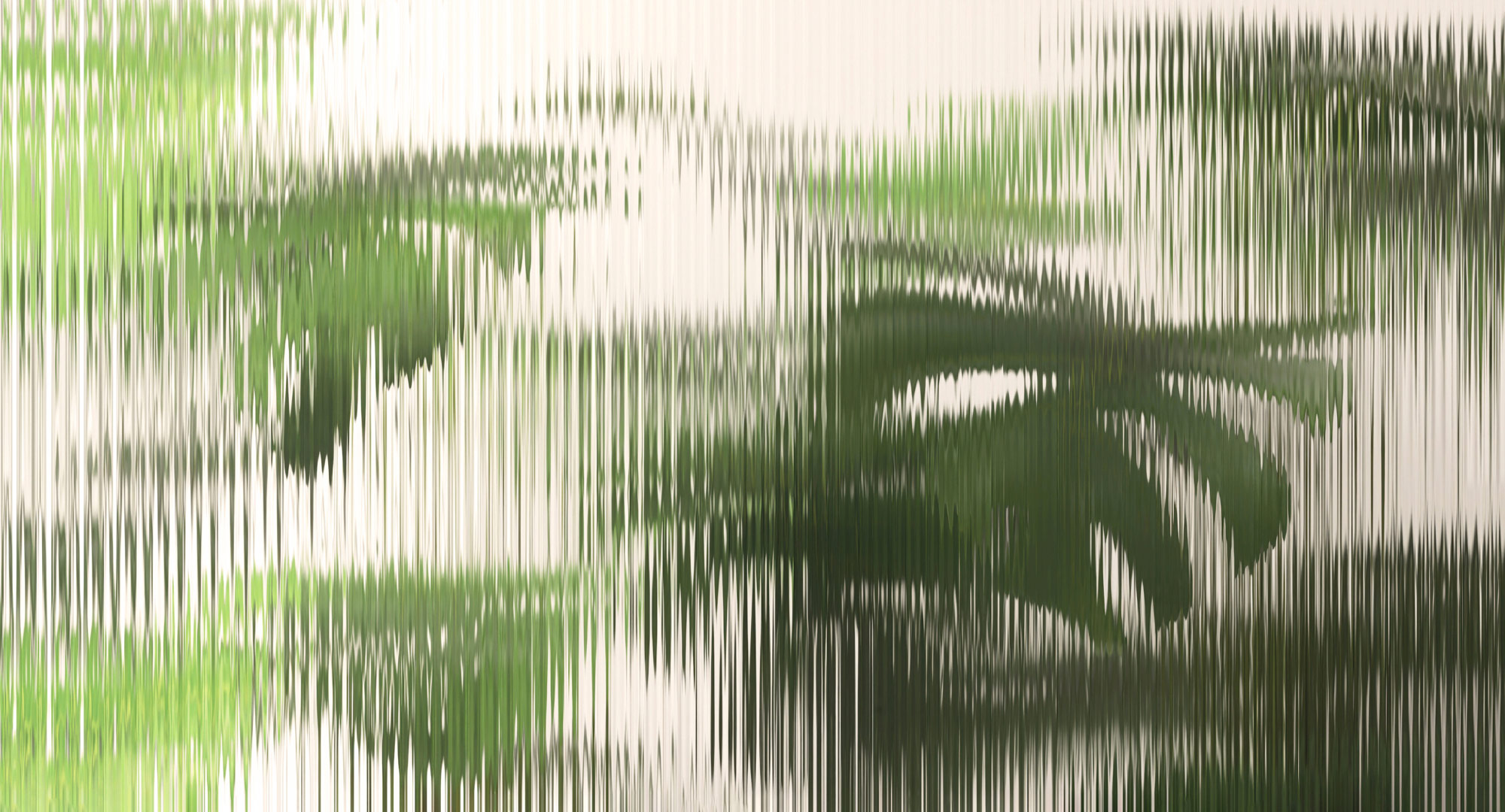 AS Fototapete Walls by Patel 5 Blätter Grün DD134975