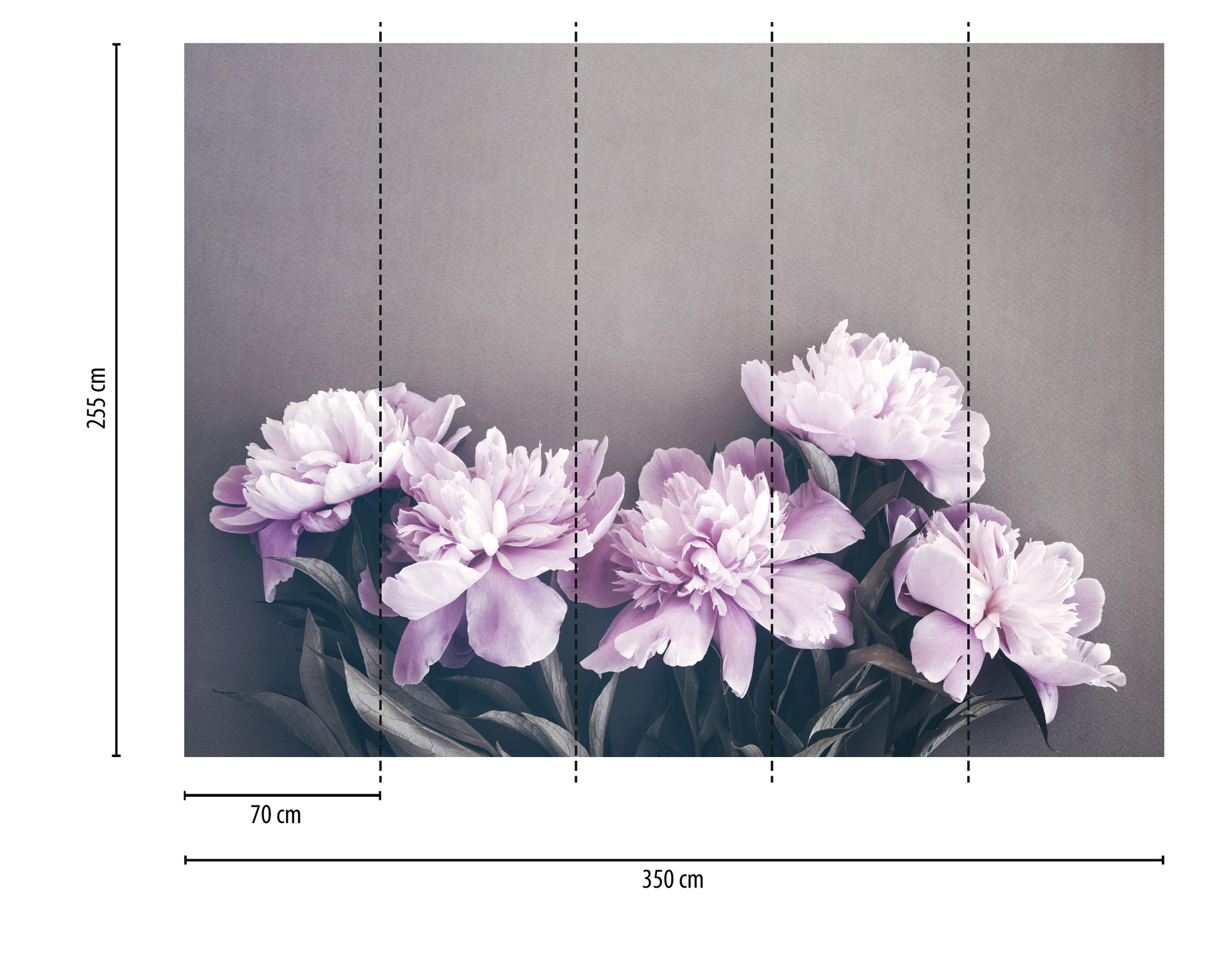 AS Fototapete Designwalls 2 Blumen Natur DD123726 AS Fototapete Designwalls 2 Blumen Natur DD123726