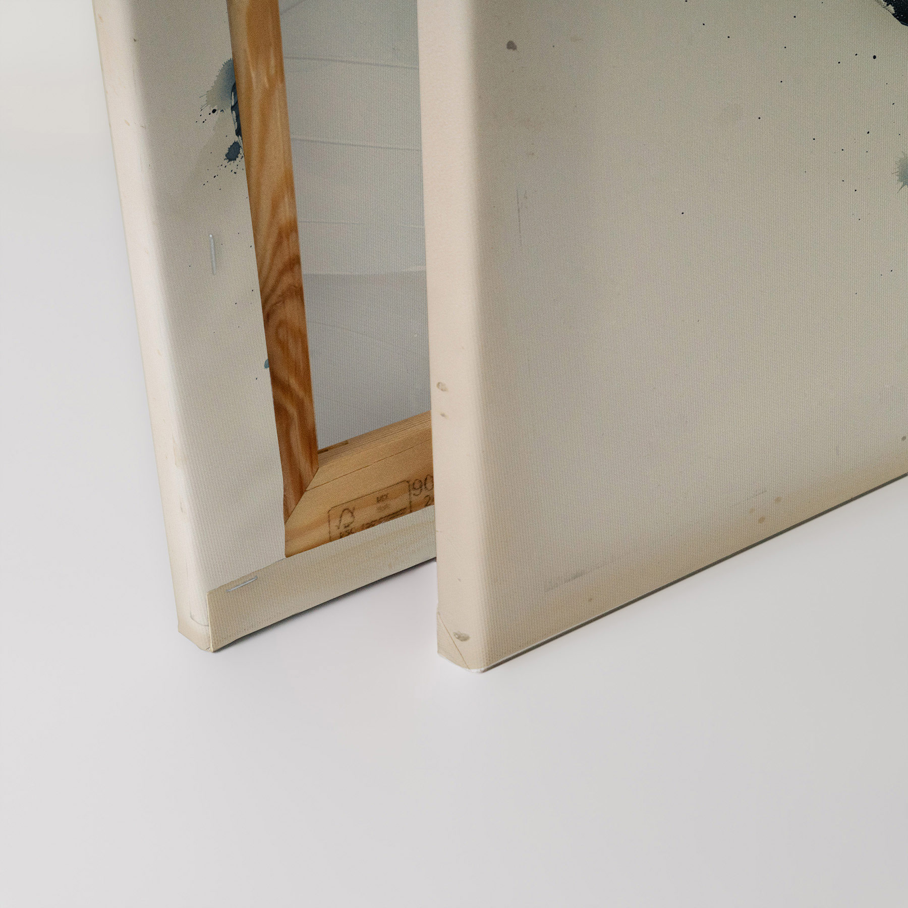 AS Leinwandbild Butterfly DD132886