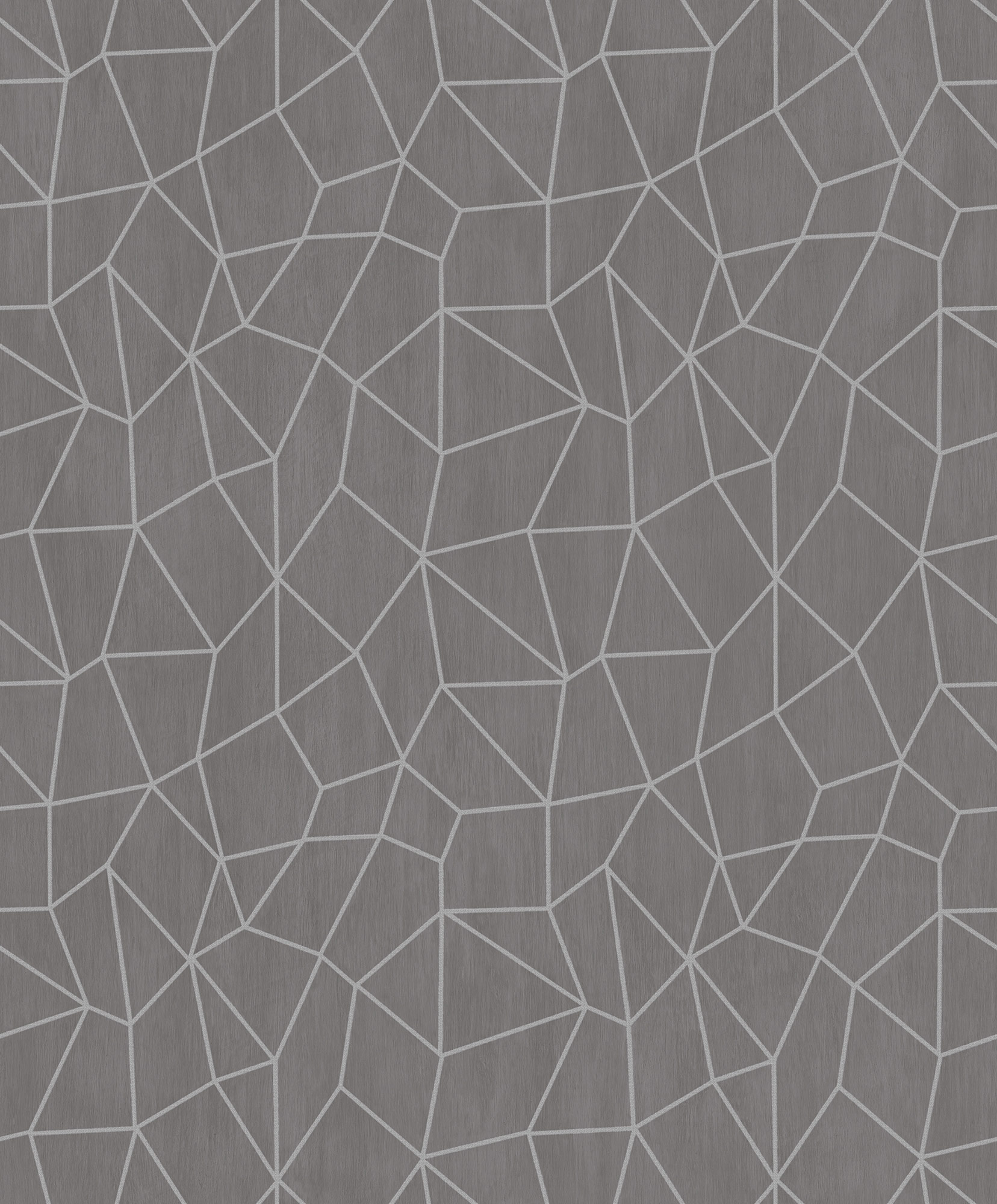 Essener Vliestapete Special FX 2 Silbergrau G67698