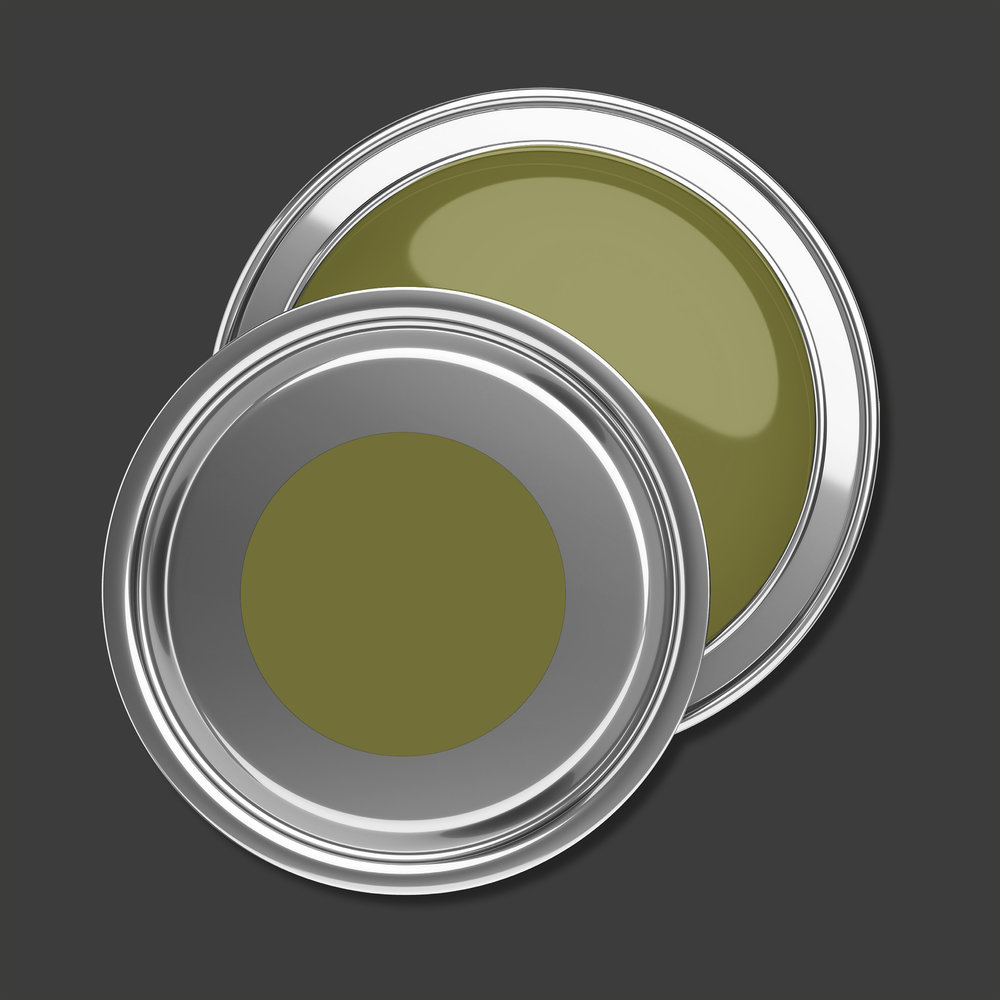 AS Premium Innenwandfarbe Puro c6009 gentle lime 1 L