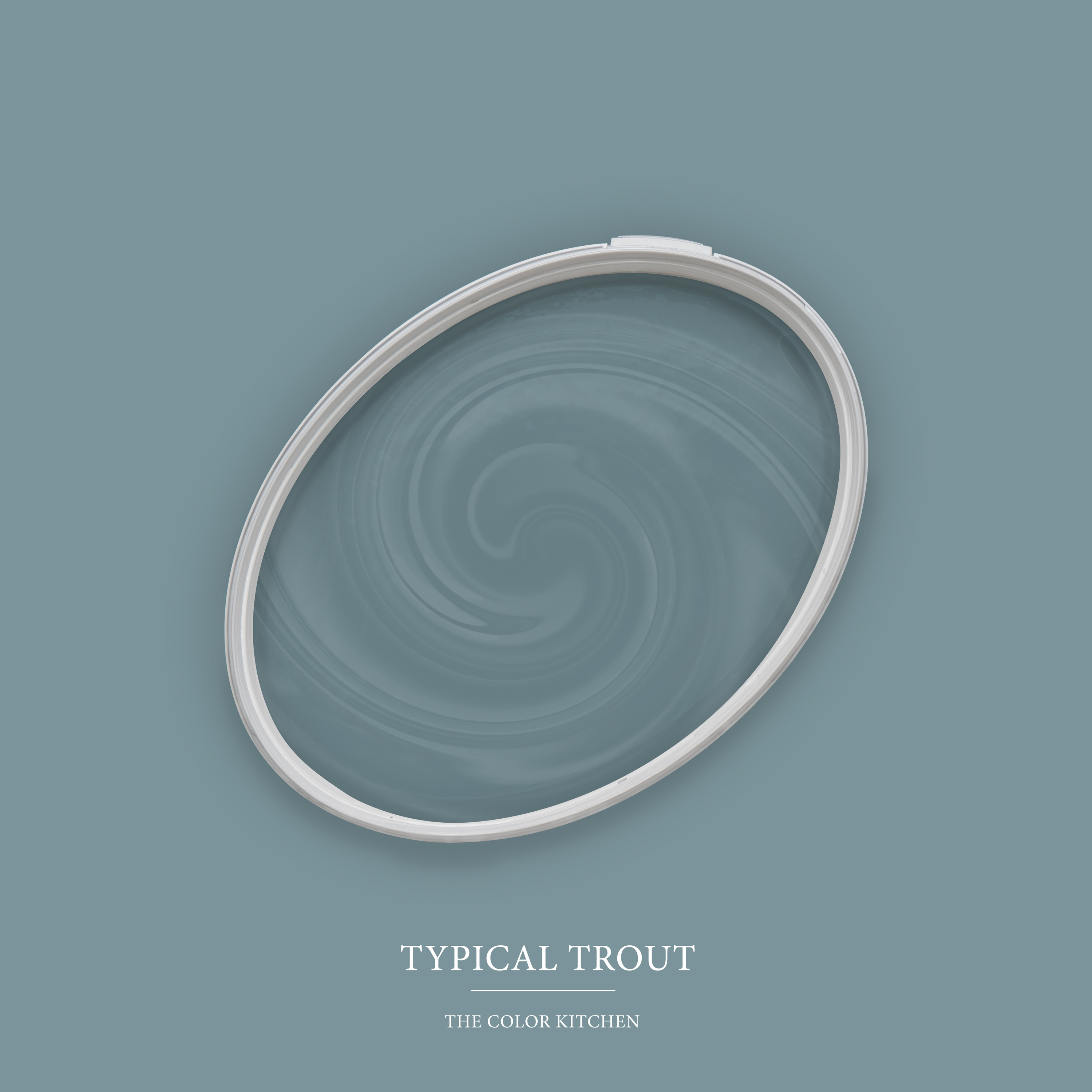 AS Wandfarbe The Color Kitchen TCK3010 Typical Trout 2,5 L