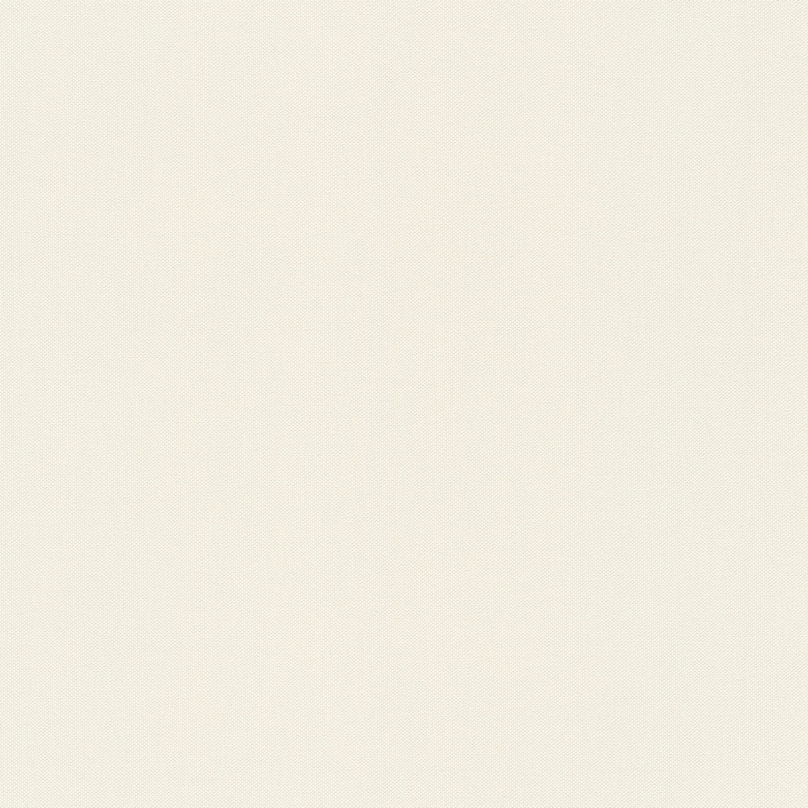 Rasch Vliestapete Allegretto Weiß-offwhite 424010