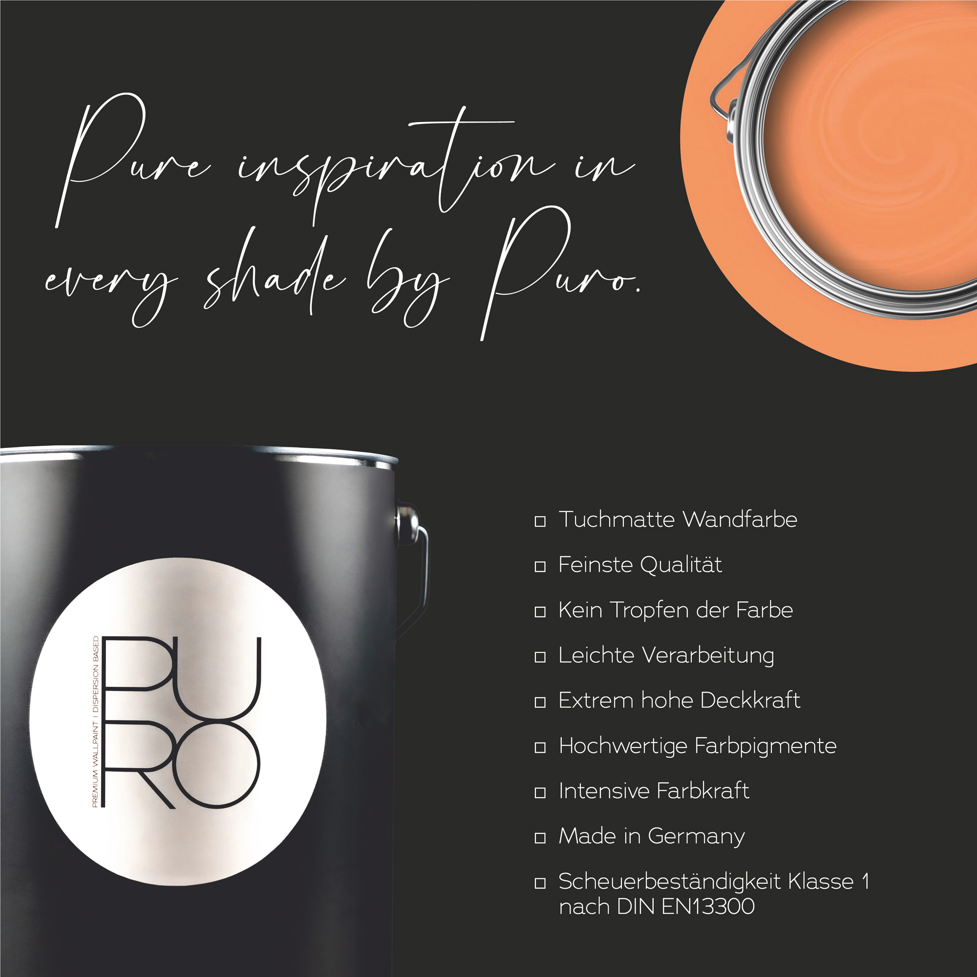 AS Premium Innenwandfarbe Puro c9001 dusty orange 1 L