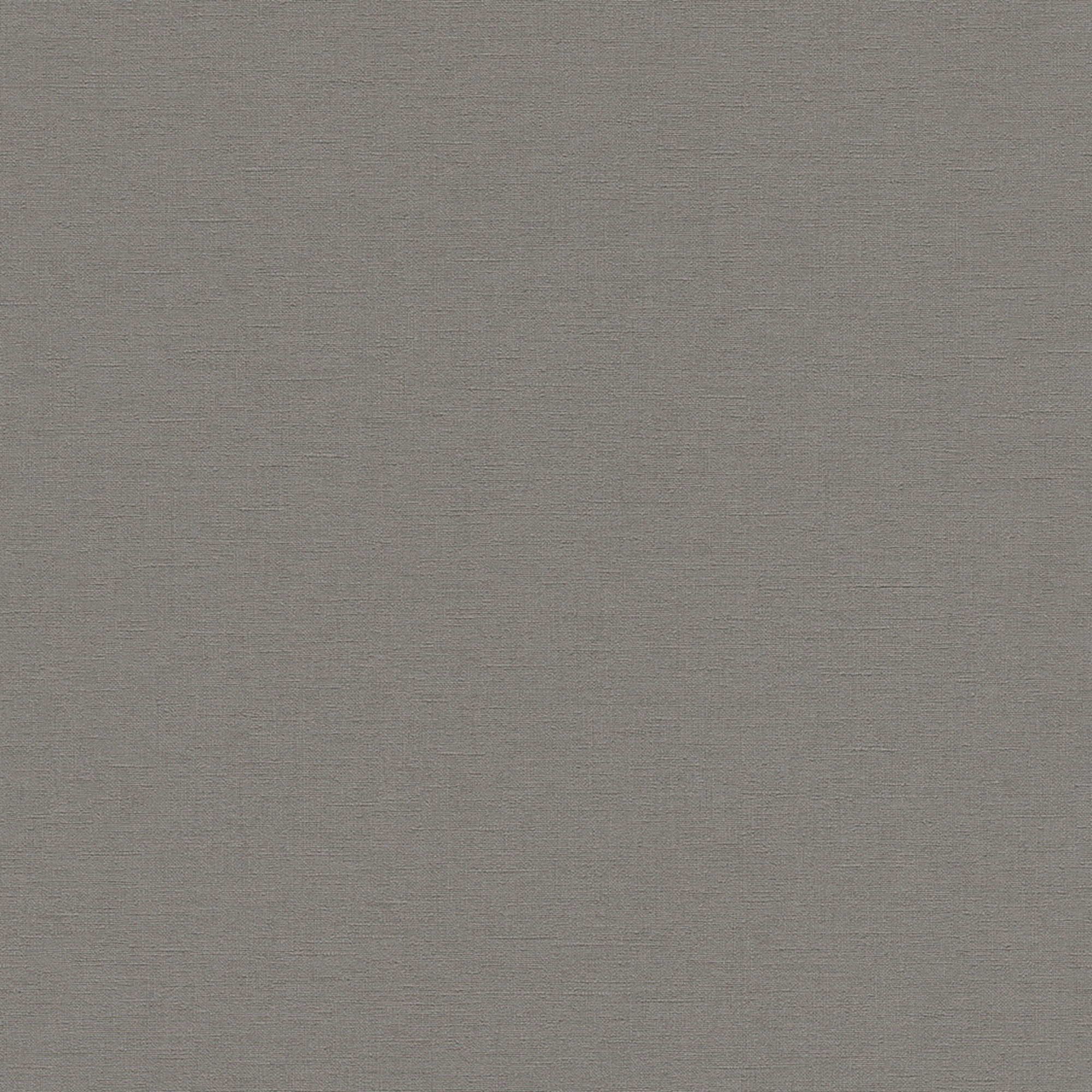 Rasch Vliestapete Allegretto Grau 448627