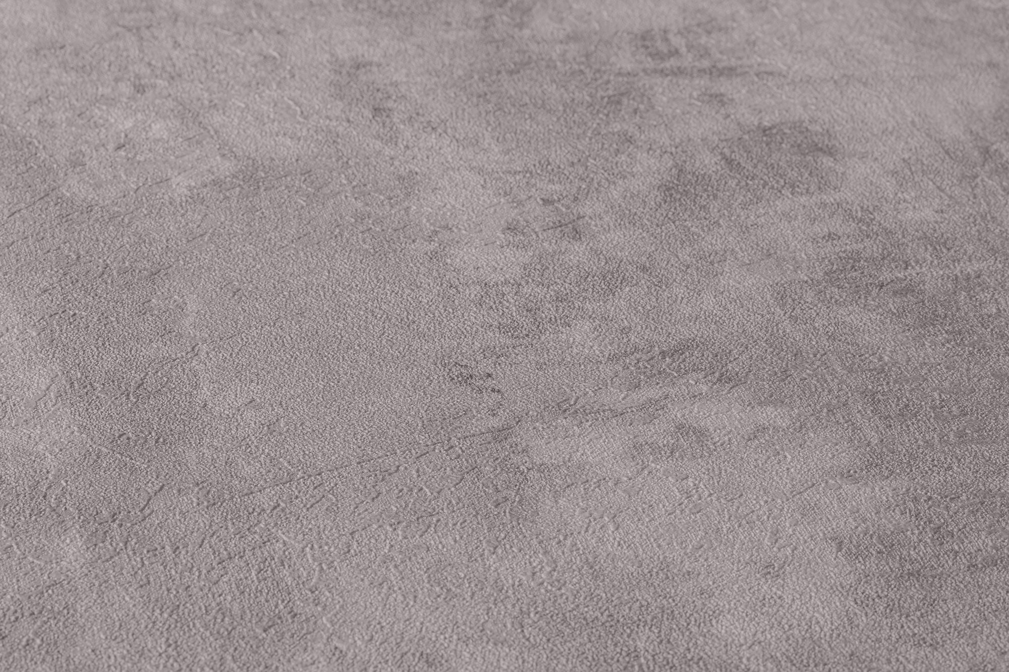 AS Vliestapete Neue Bude 2.0 II Betonoptik grau 374121