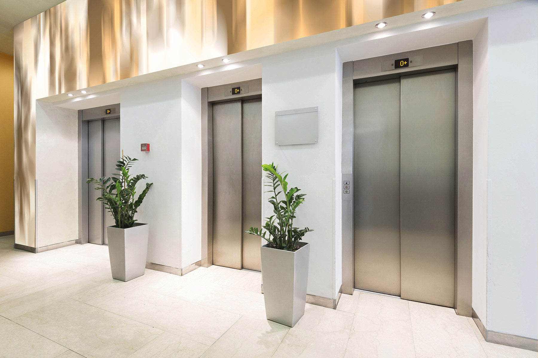 AS Fototapete Atelier 47 DiffuseOrna. DD118360