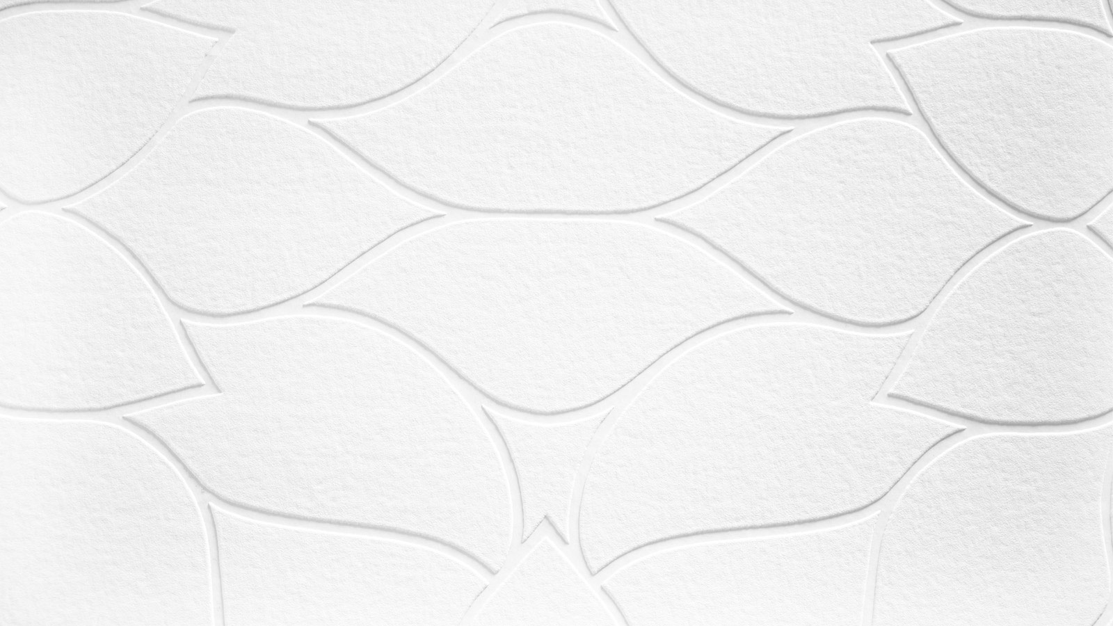 AS Vliestapete Meistervlies 8 überstreichbar 950819