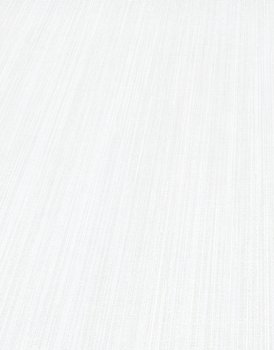 Erismann Vliestapete Charisma weiß 1025201