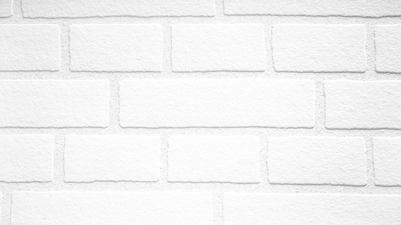 AS Vliestapete Meistervlies 8 überstreichbar 245311