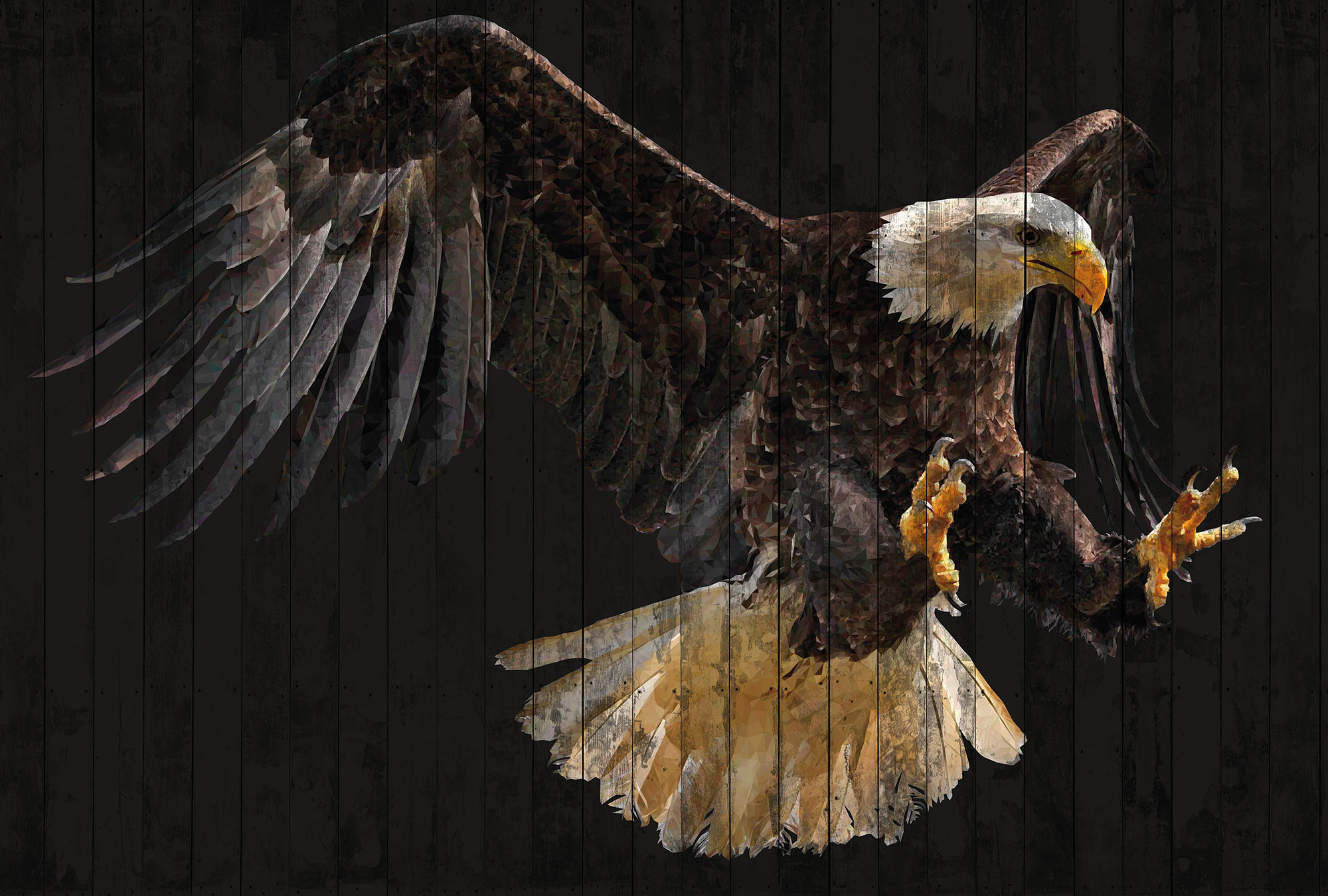 AS Fototapete Atelier 47 PolygonEagle DD118185