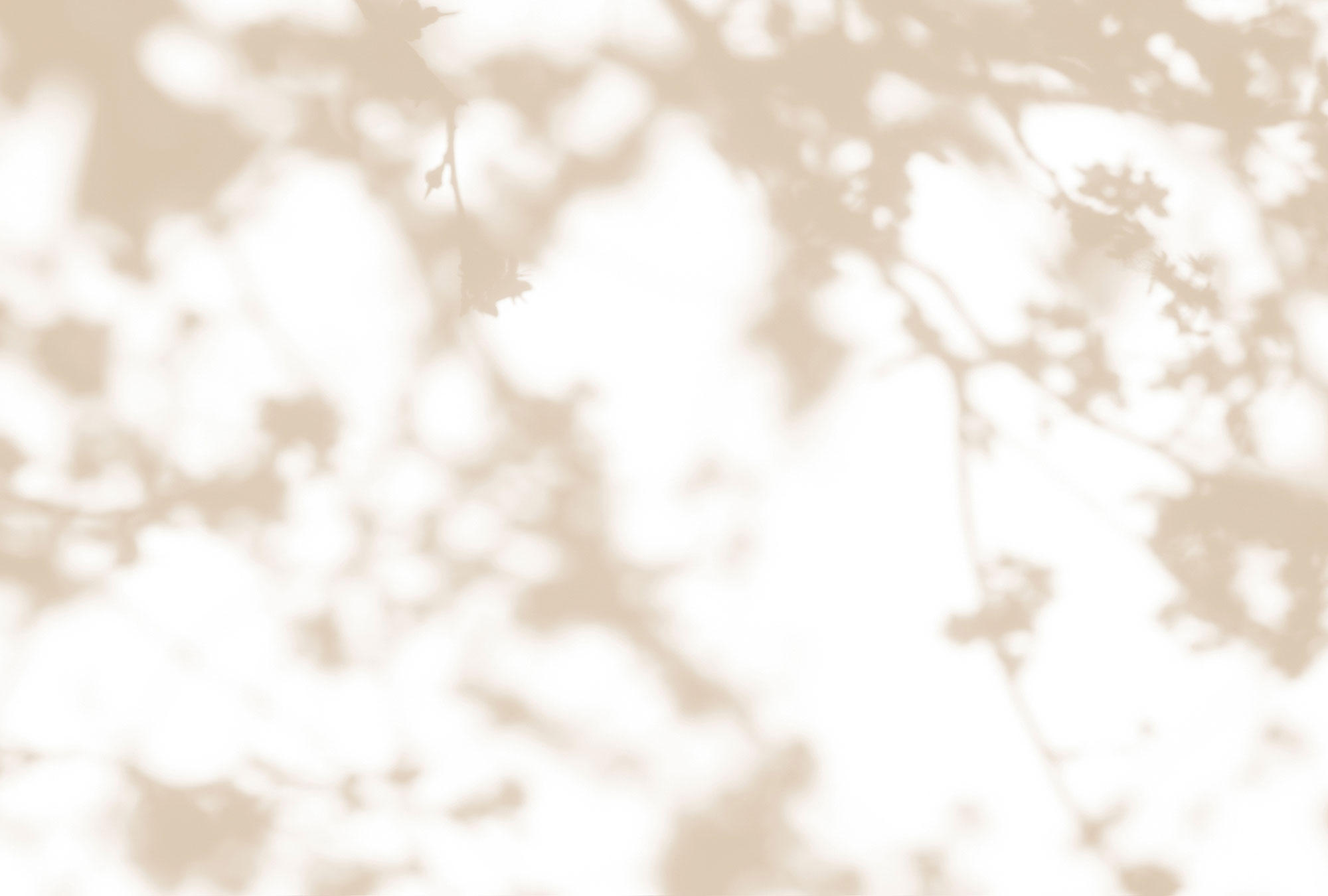 AS Fototapete Walls by Patel 3 Blumen DD122036 AS Fototapete Walls by Patel 3 Blumen DD122036