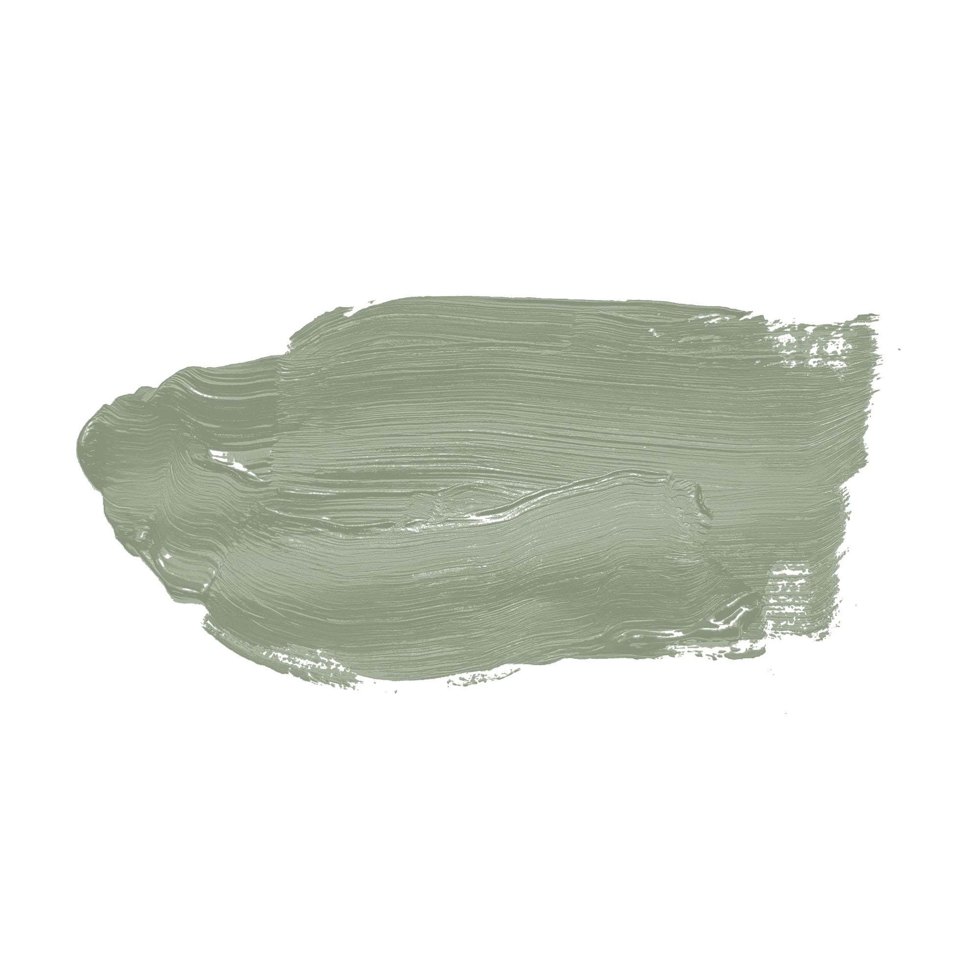 AS Wandfarbe The Color Kitchen TCK4004 Sane Sage 2,5 L