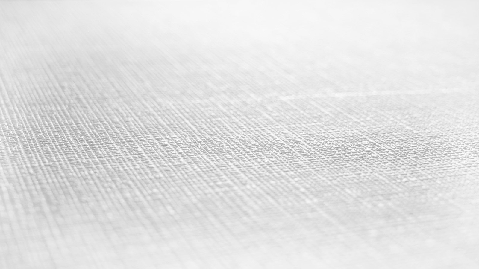 AS Vliestapete Meistervlies 8 überstreichbar 392751