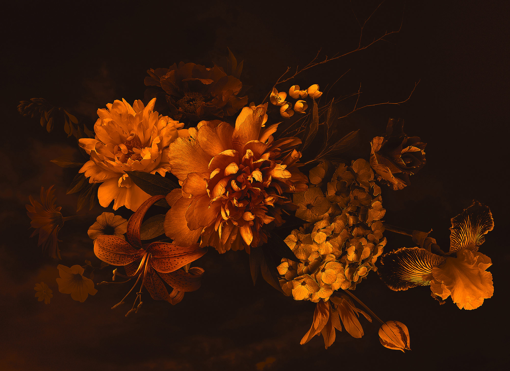 AS Fototapete Designwalls BlossomVariety Blumen DD118516