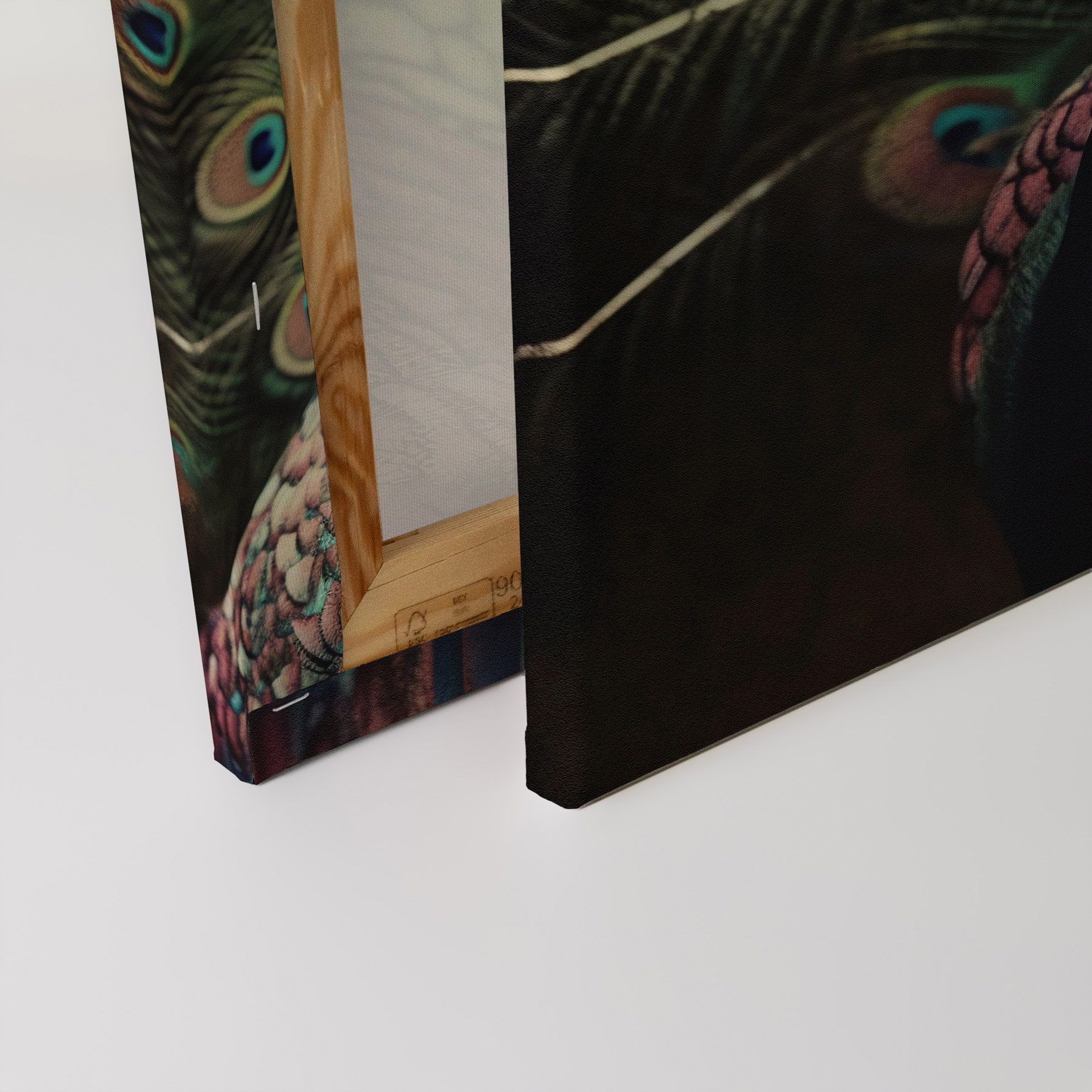 AS Leinwandbild Peacock Portrait DD133348