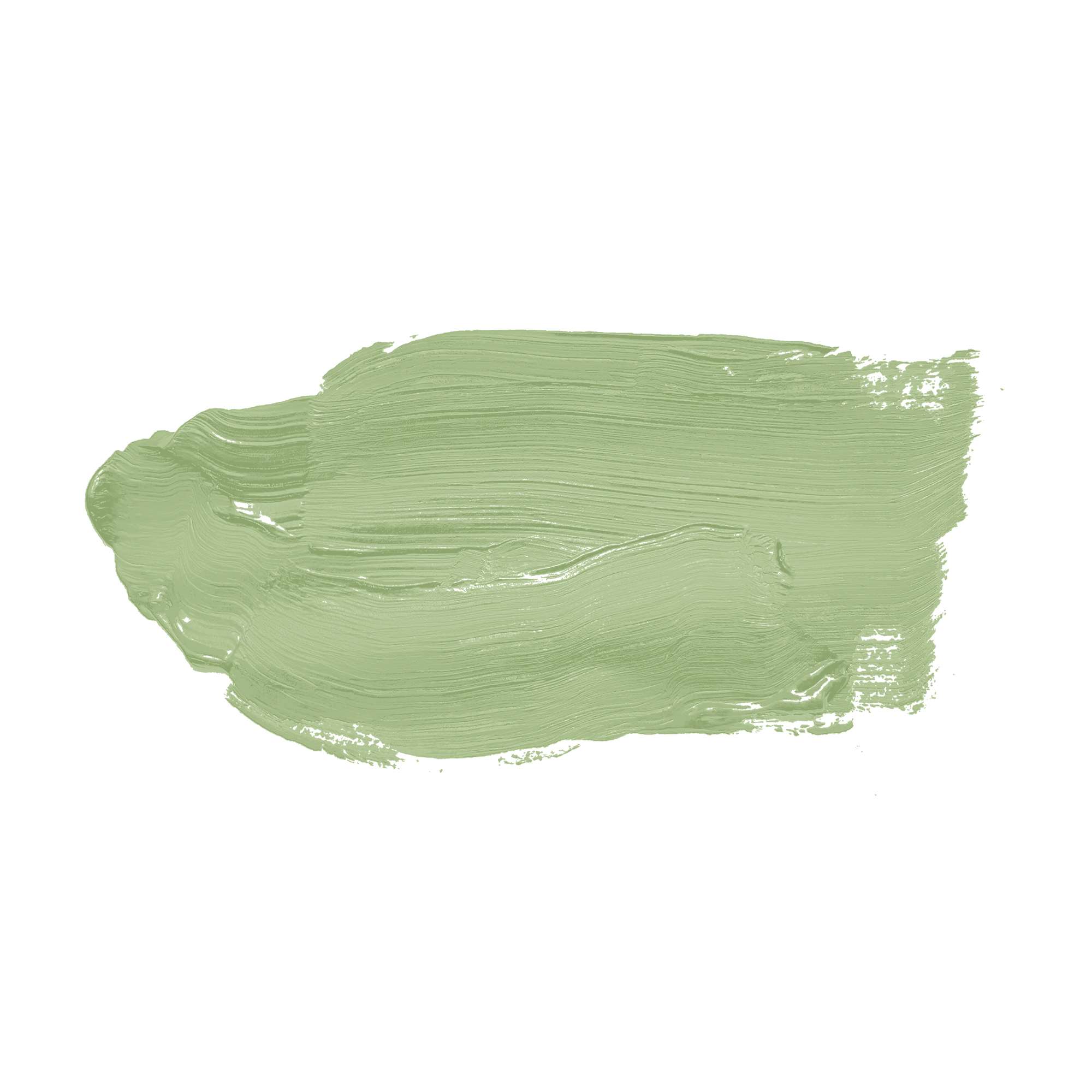 AS Wandfarbe The Color Kitchen TCK4008 Green Grape 2,5 L