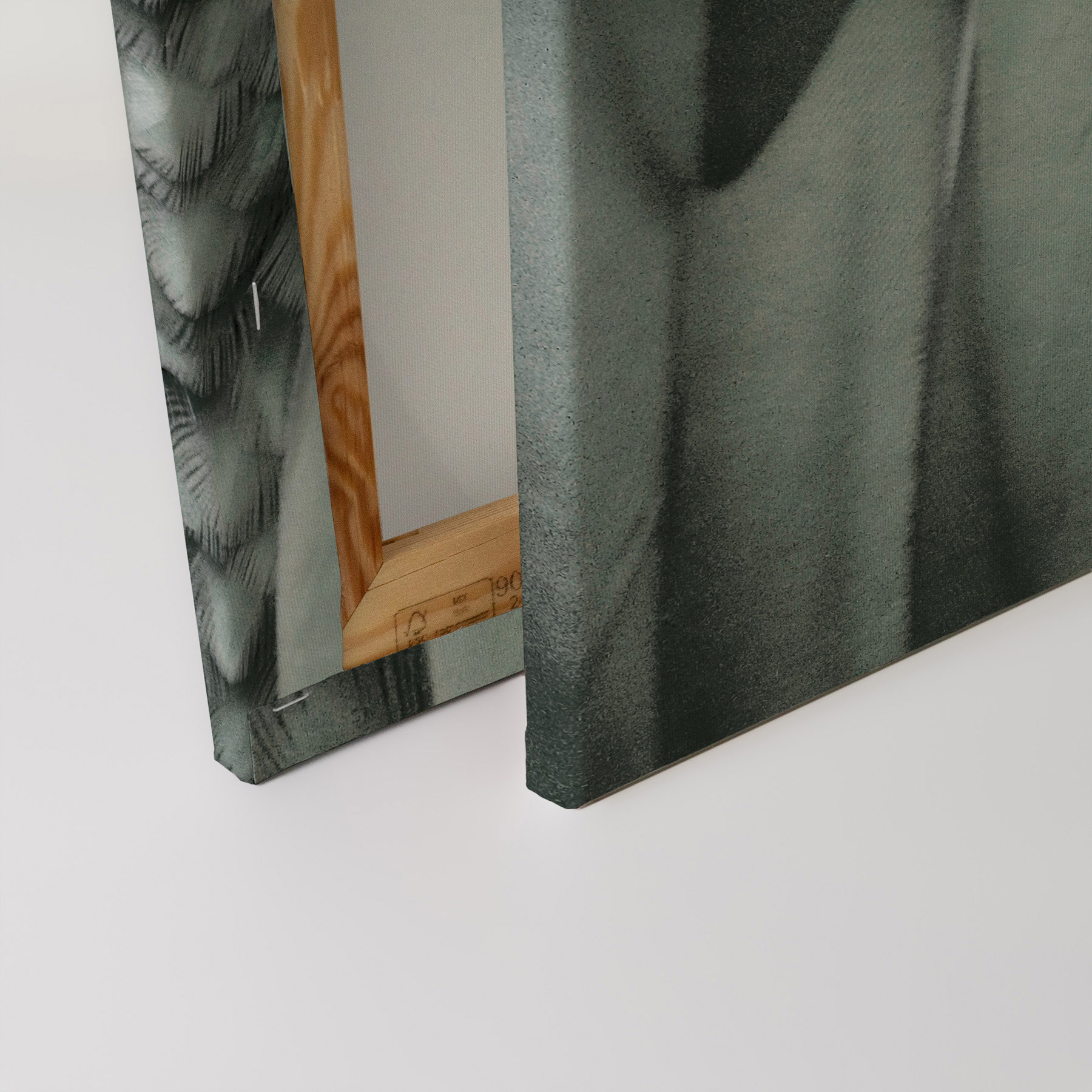 AS Leinwandbild Feathers 2 DD131751