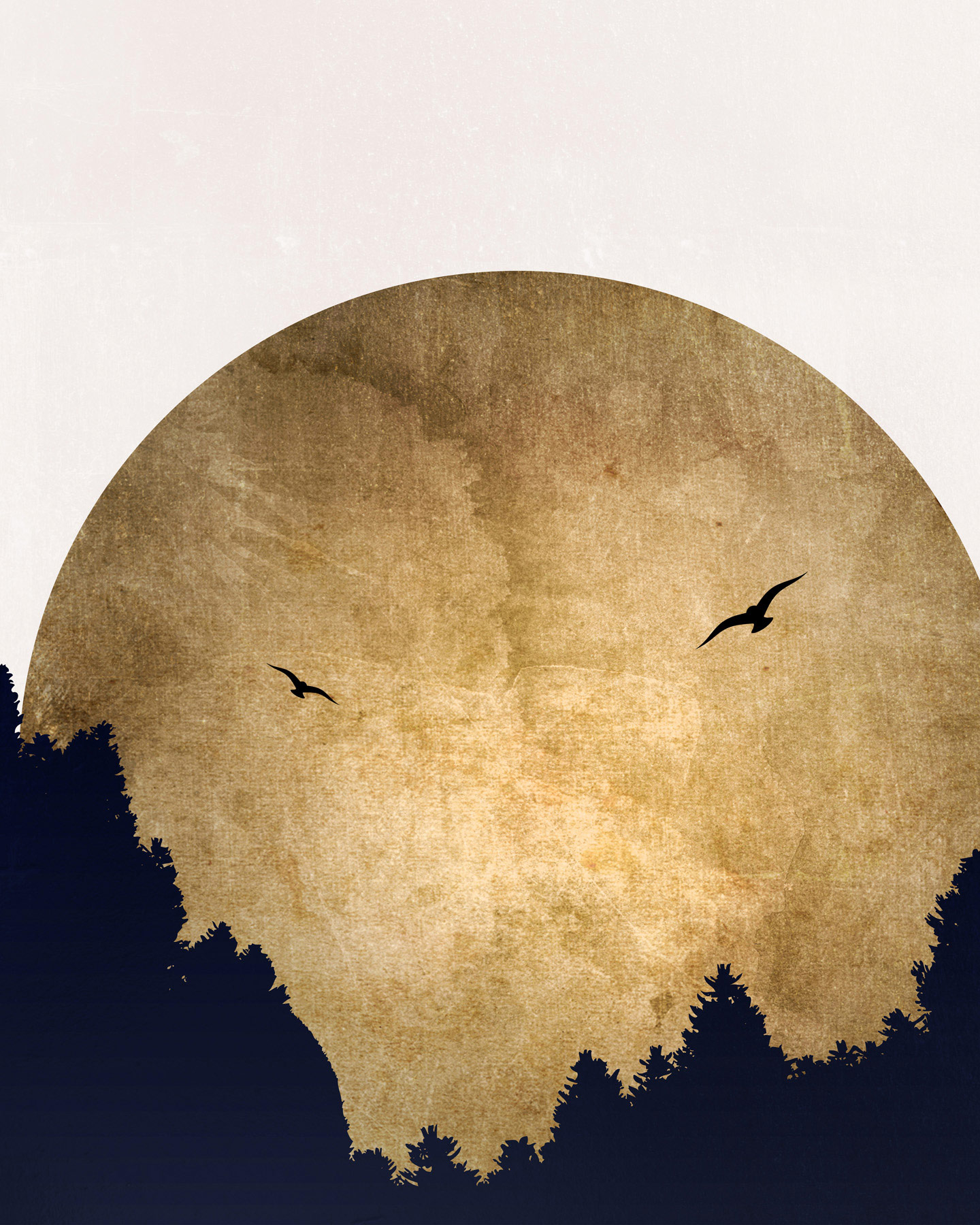 AS Leinwandbild Two Birds DD131766