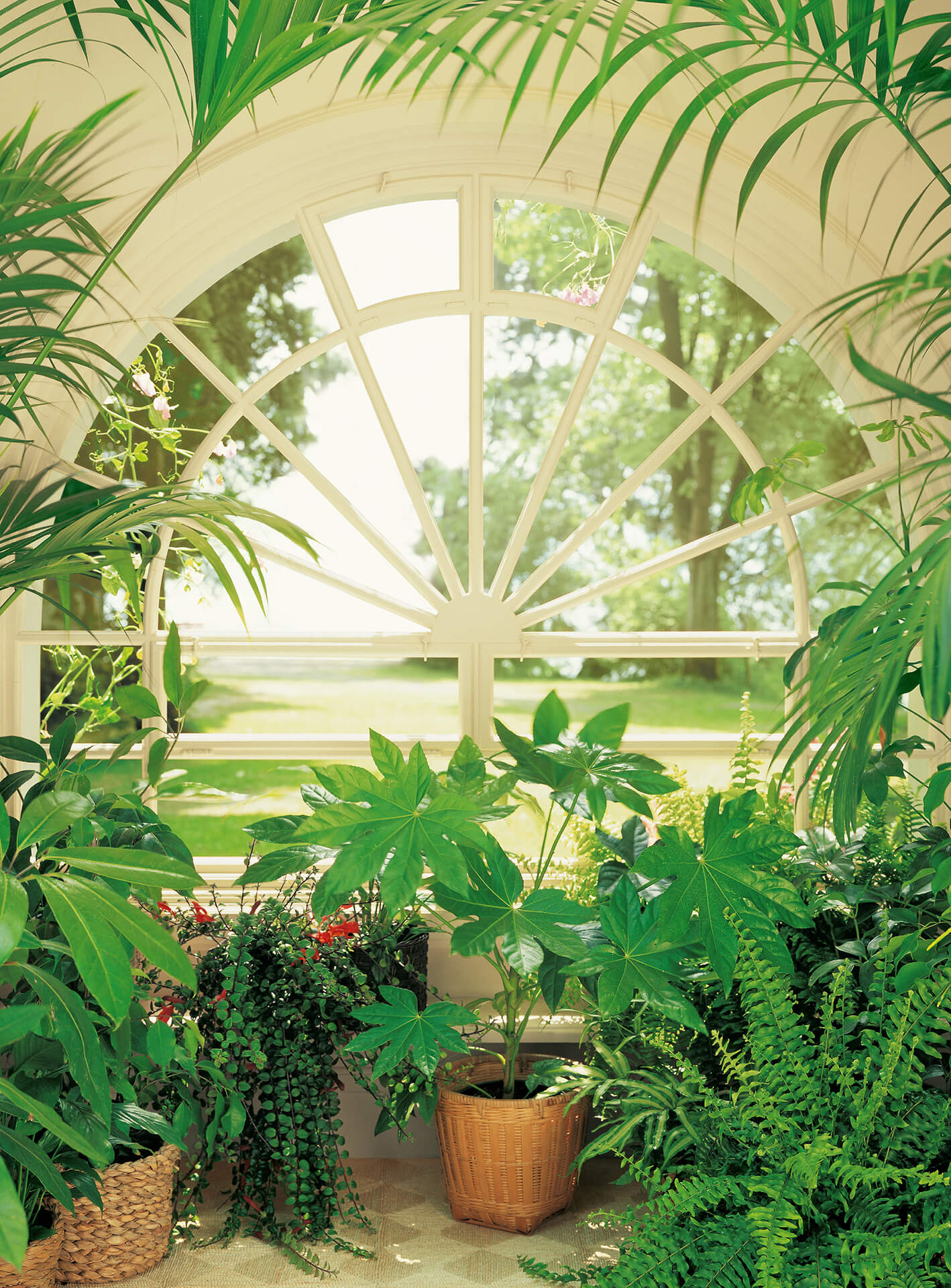 AS Fototapete Designwalls 2.0 Wintergarden DD119110