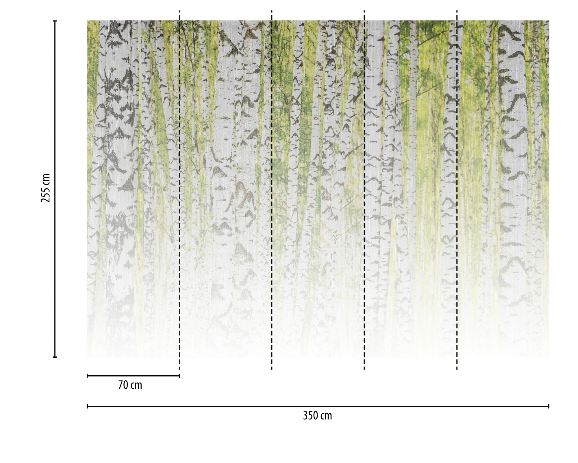 AS Fototapete Designwalls 2 Birkenwald  Natur DD123528