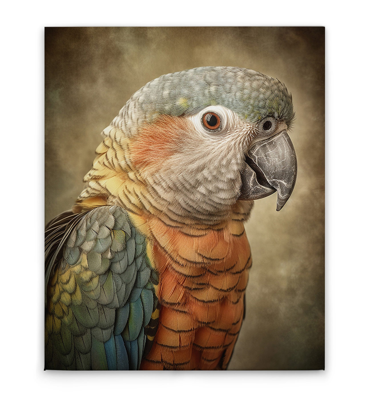 AS Leinwandbild Fantasy Parrot Orange DD133347