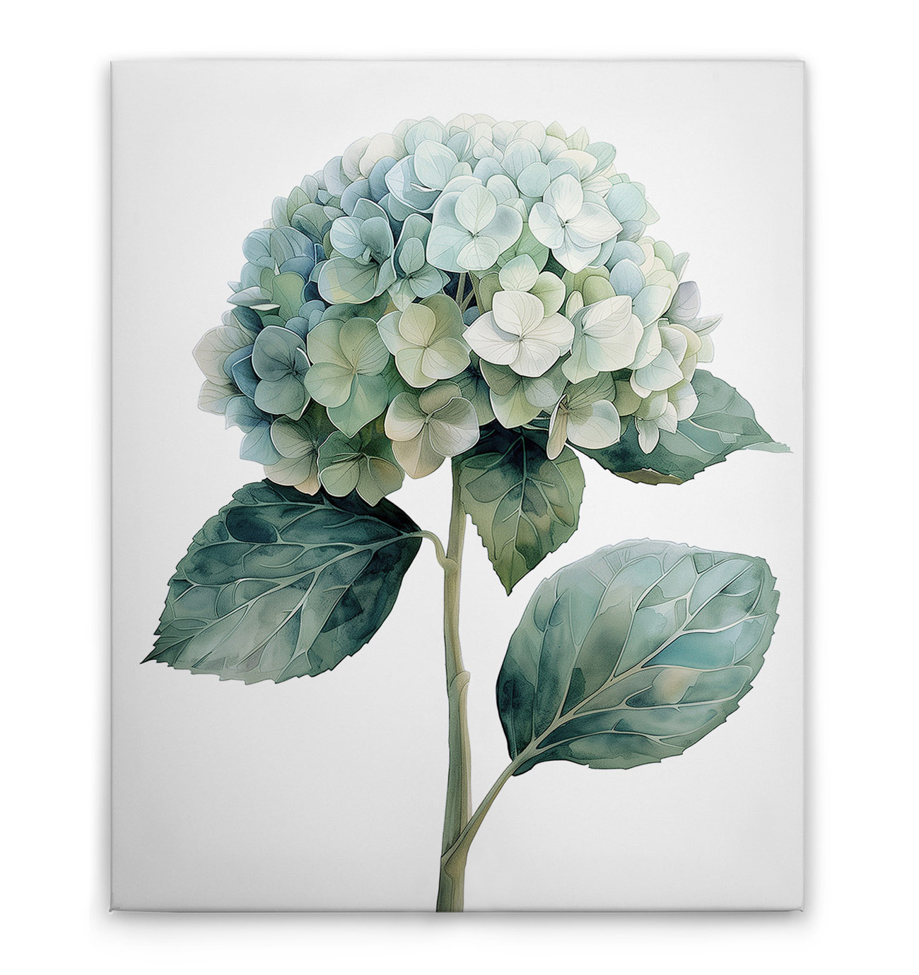 AS Leinwandbild Hortensie Bleue DD132920