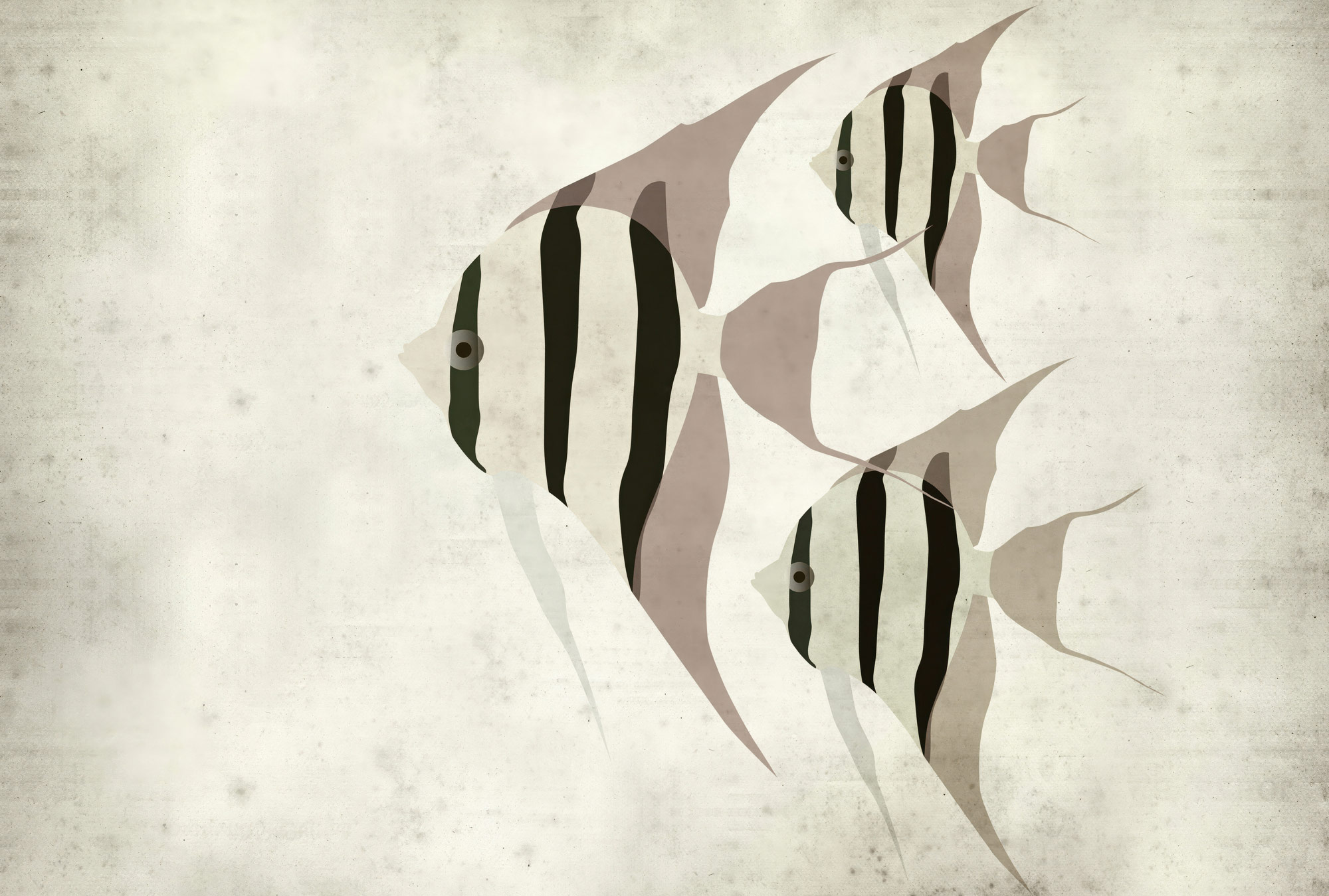 AS Fototapete Walls by Patel 5 Fische Beige DD134009