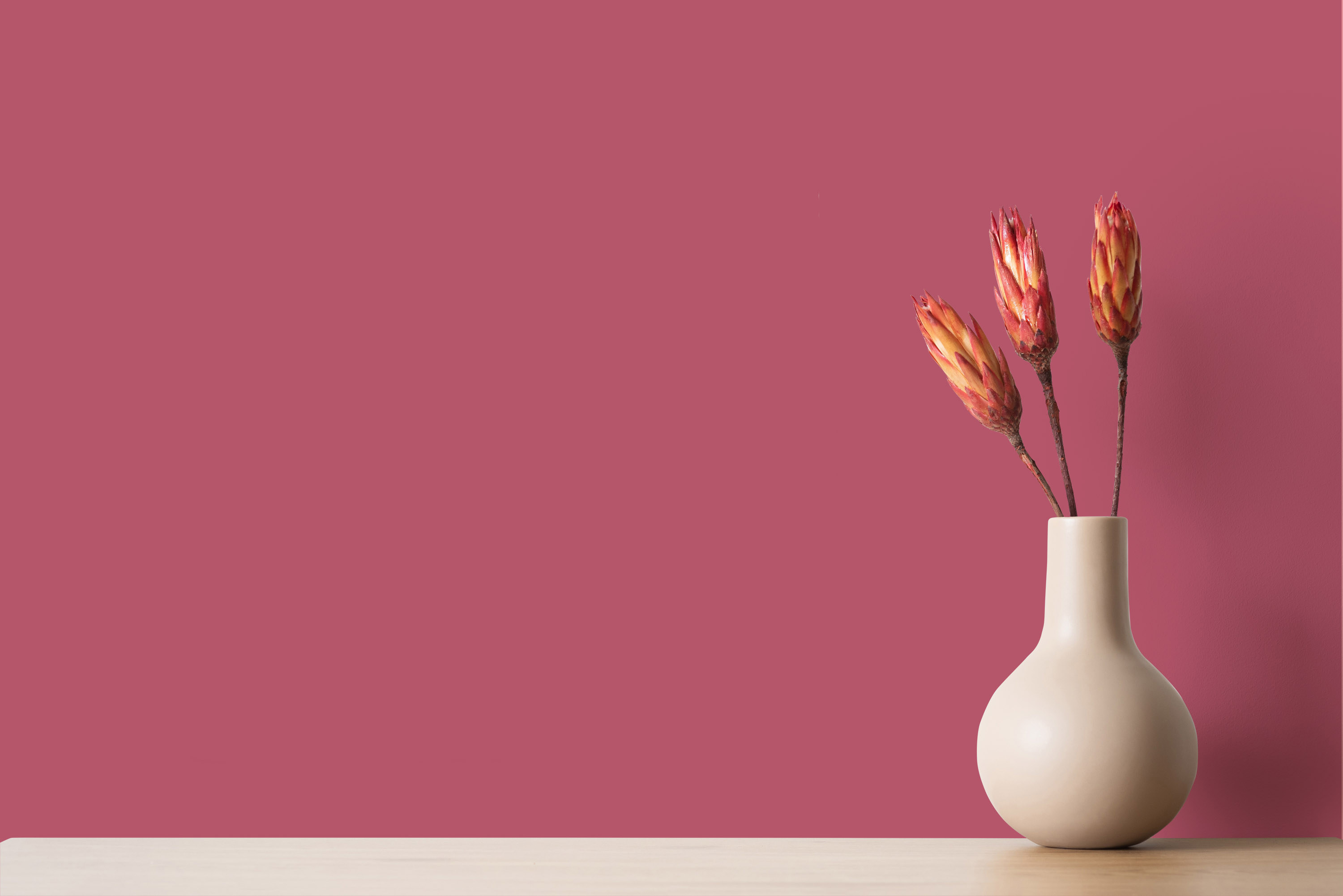 AS Wandfarbe The Color Kitchen TCK7011 Rosy Raspberry 2,5 L