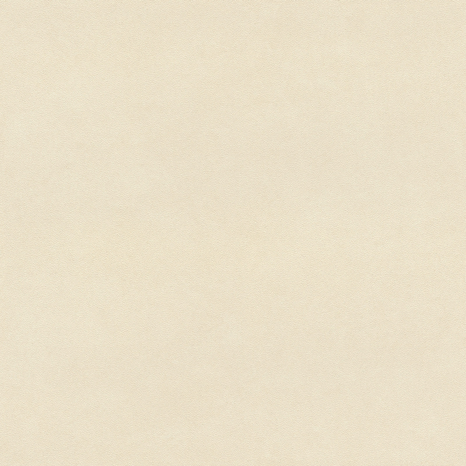 Rasch Vliestapete Beachhouse Beige 479485