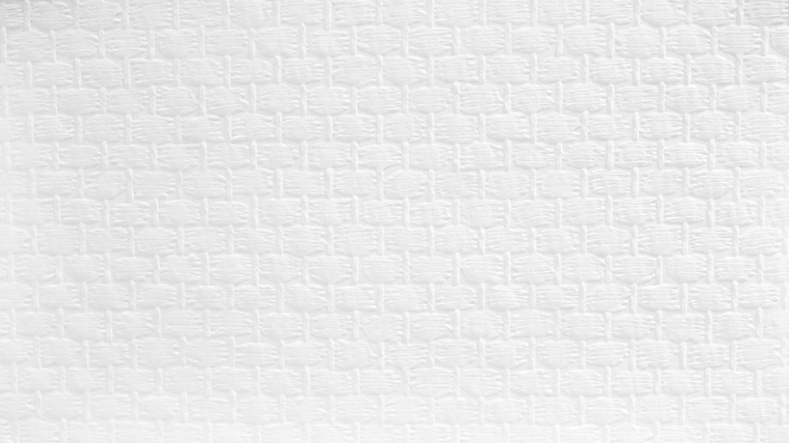 AS Vliestapete Meistervlies 8 überstreichbar 141217