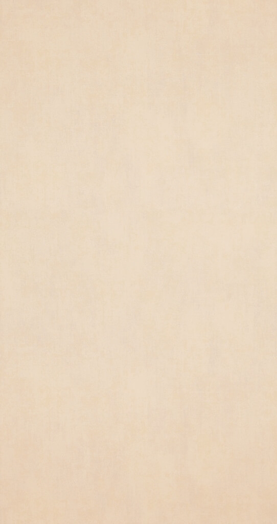 BN Walls Vliestapete Indian Summer 218546