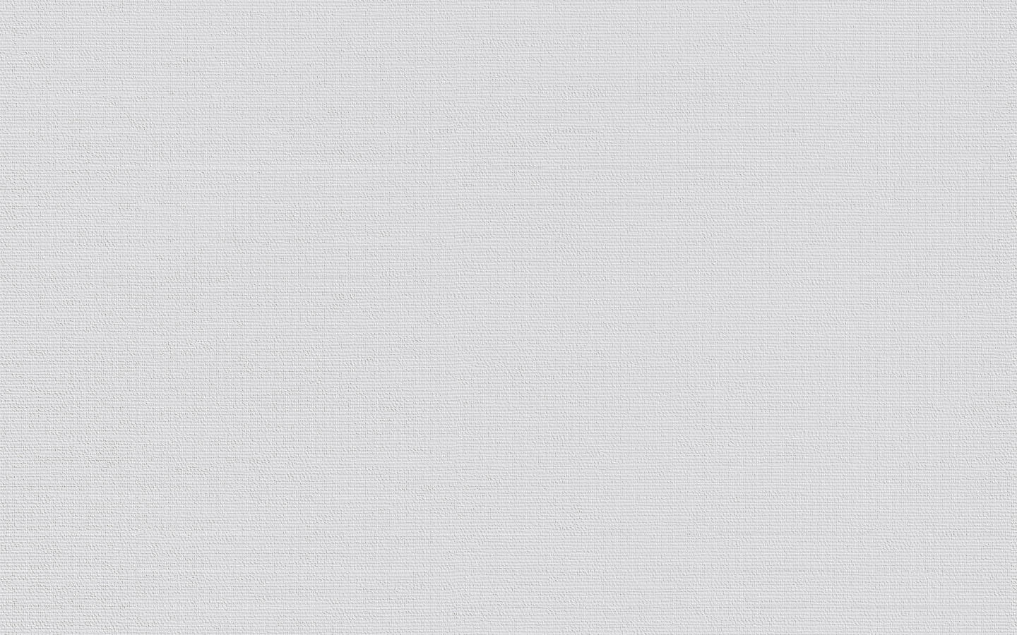 Erfurt Vliesfaser Tapete Basic 104 | Einzelrolle